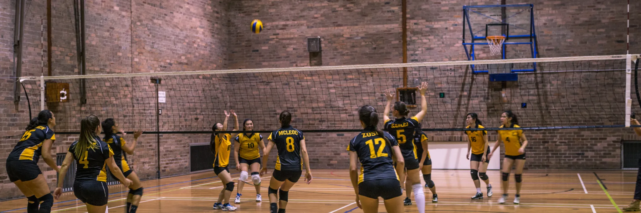 UNSW Volleyball