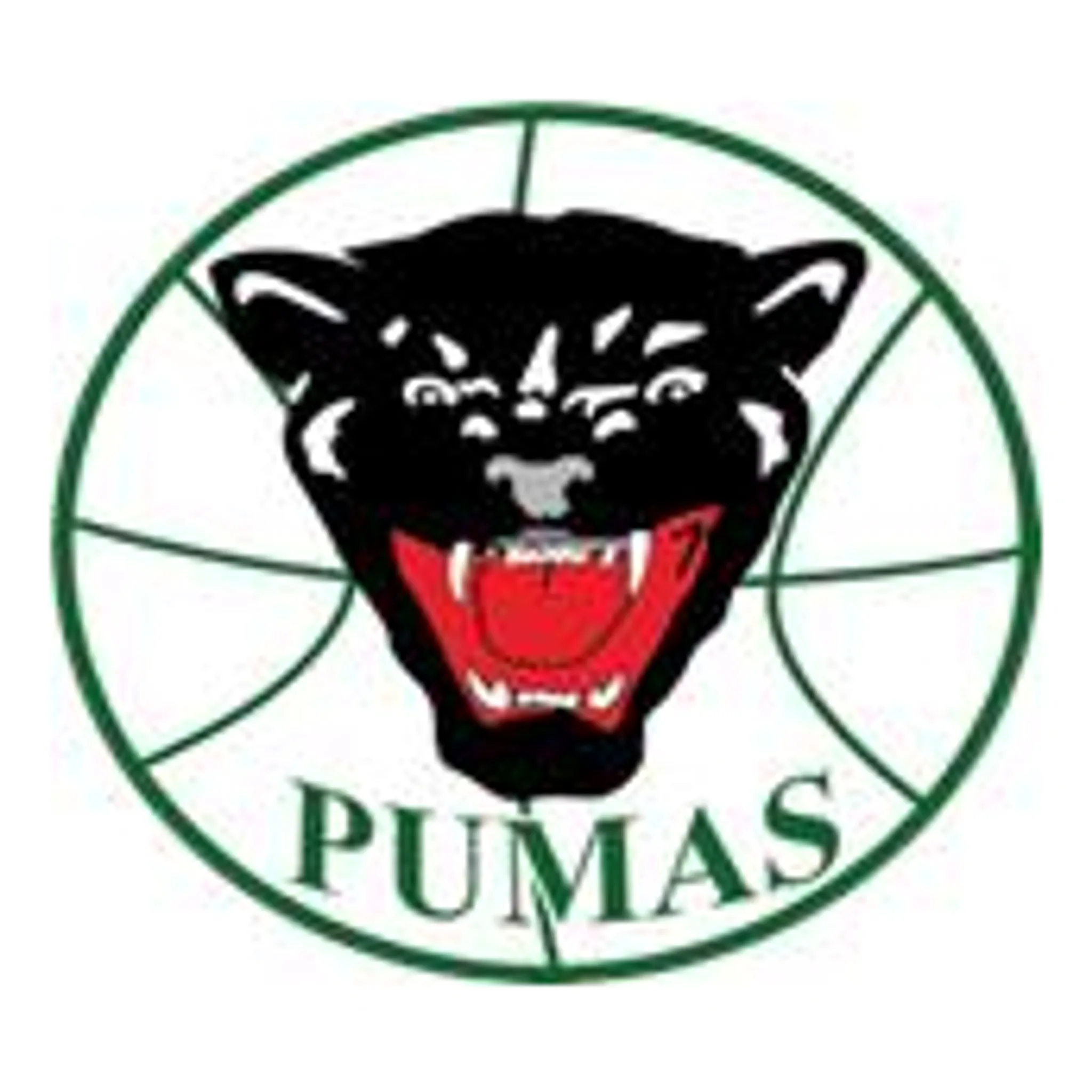 The Pumas Basketball Club