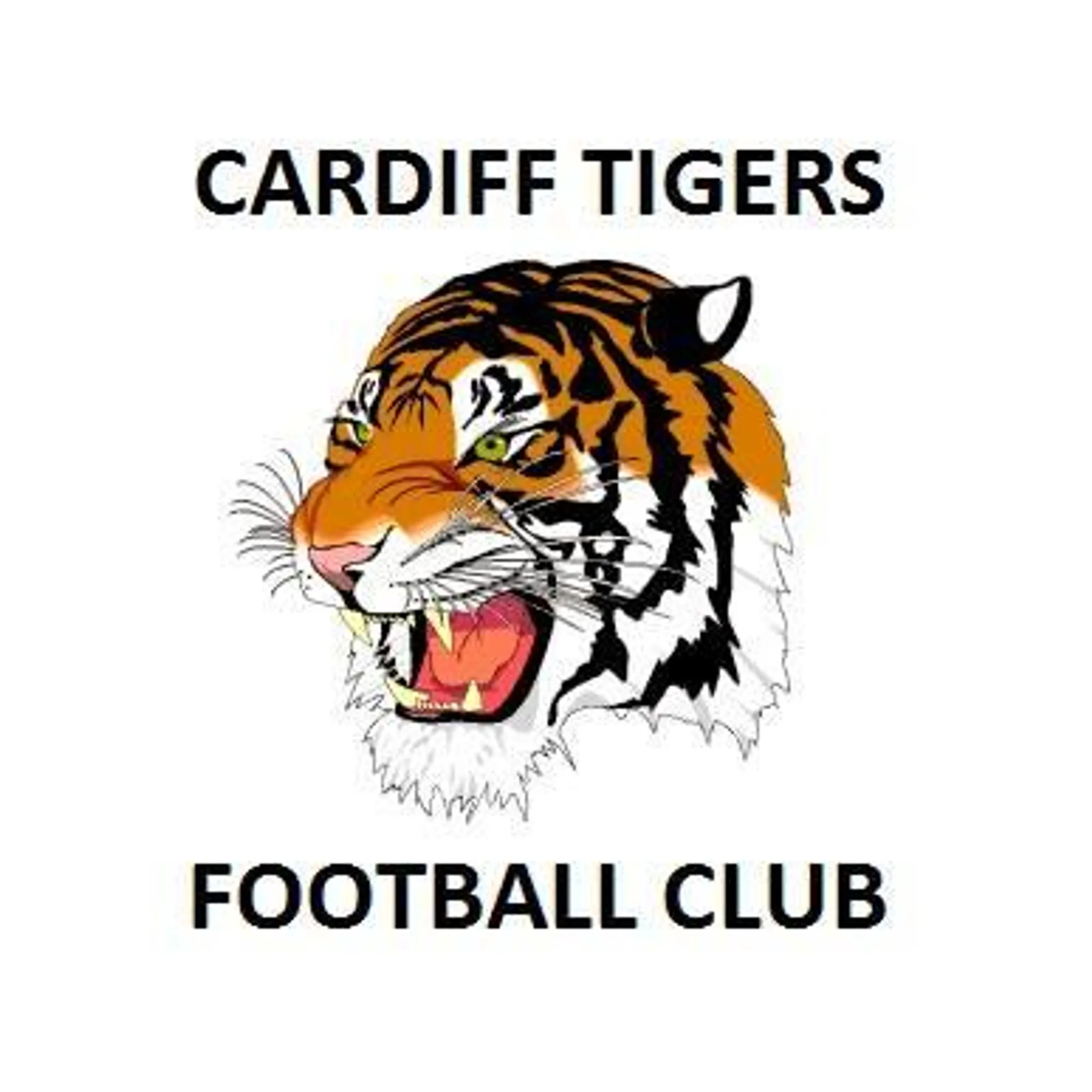Cardiff Junior Football Club