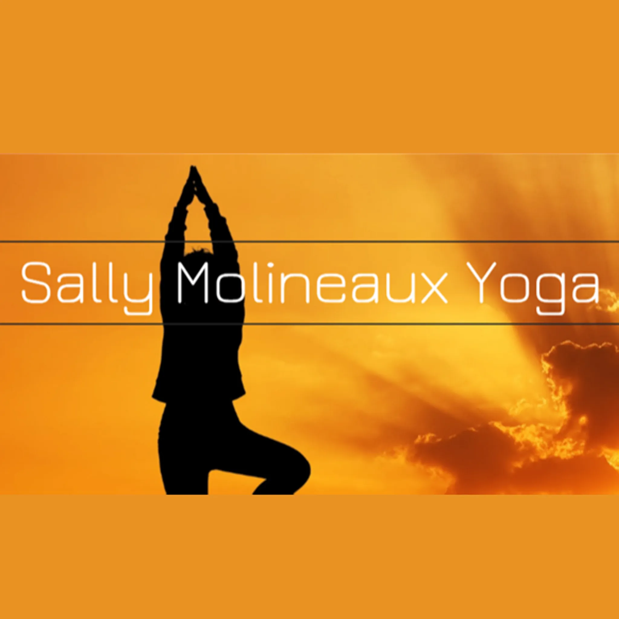 Sally Molineaux Yoga Teacher