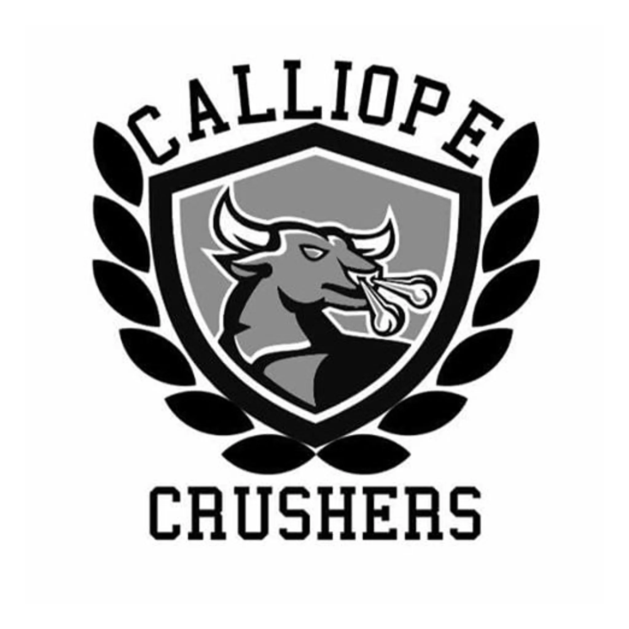 Calliope Crushers Netball Club
