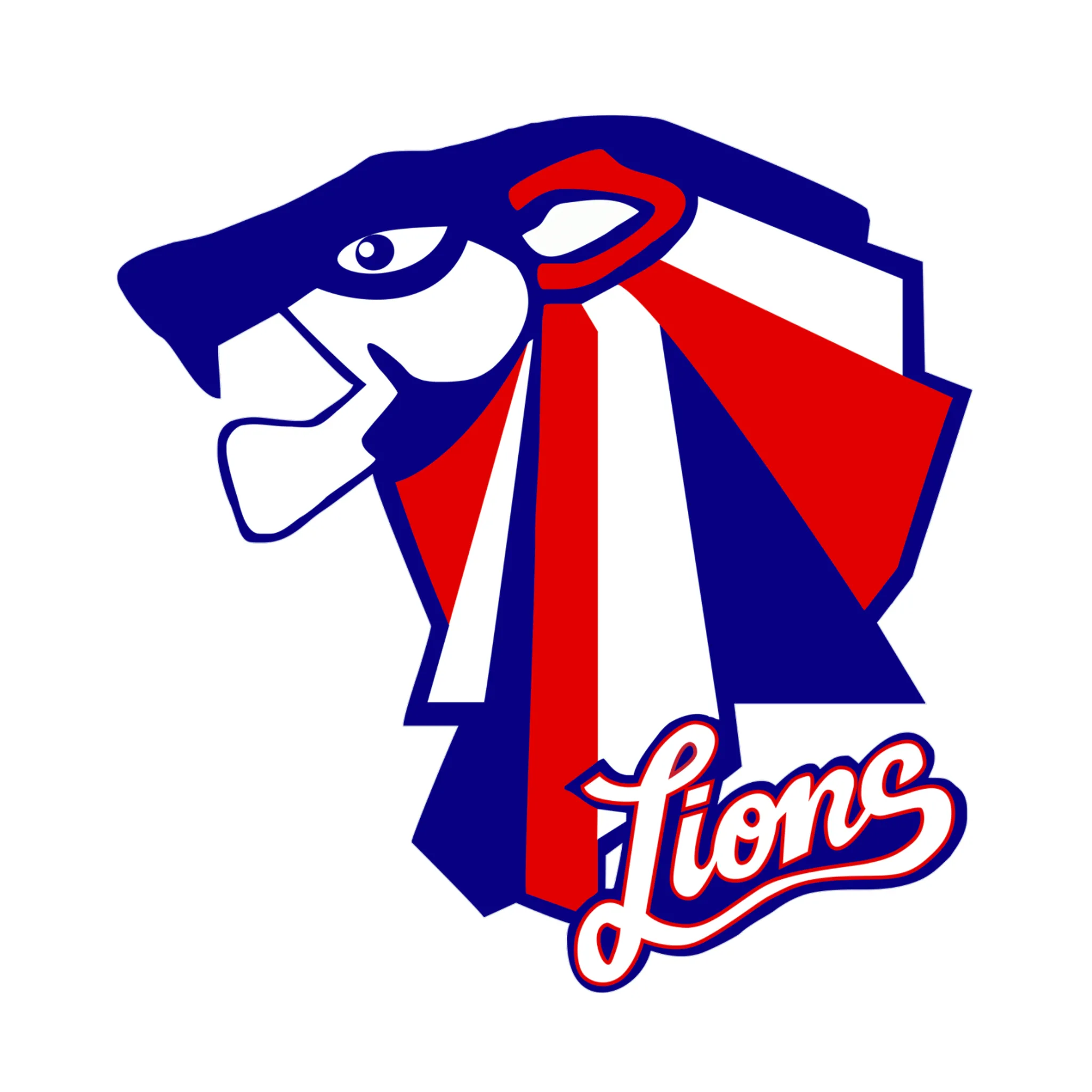 Central Districts Lions Basketball Club