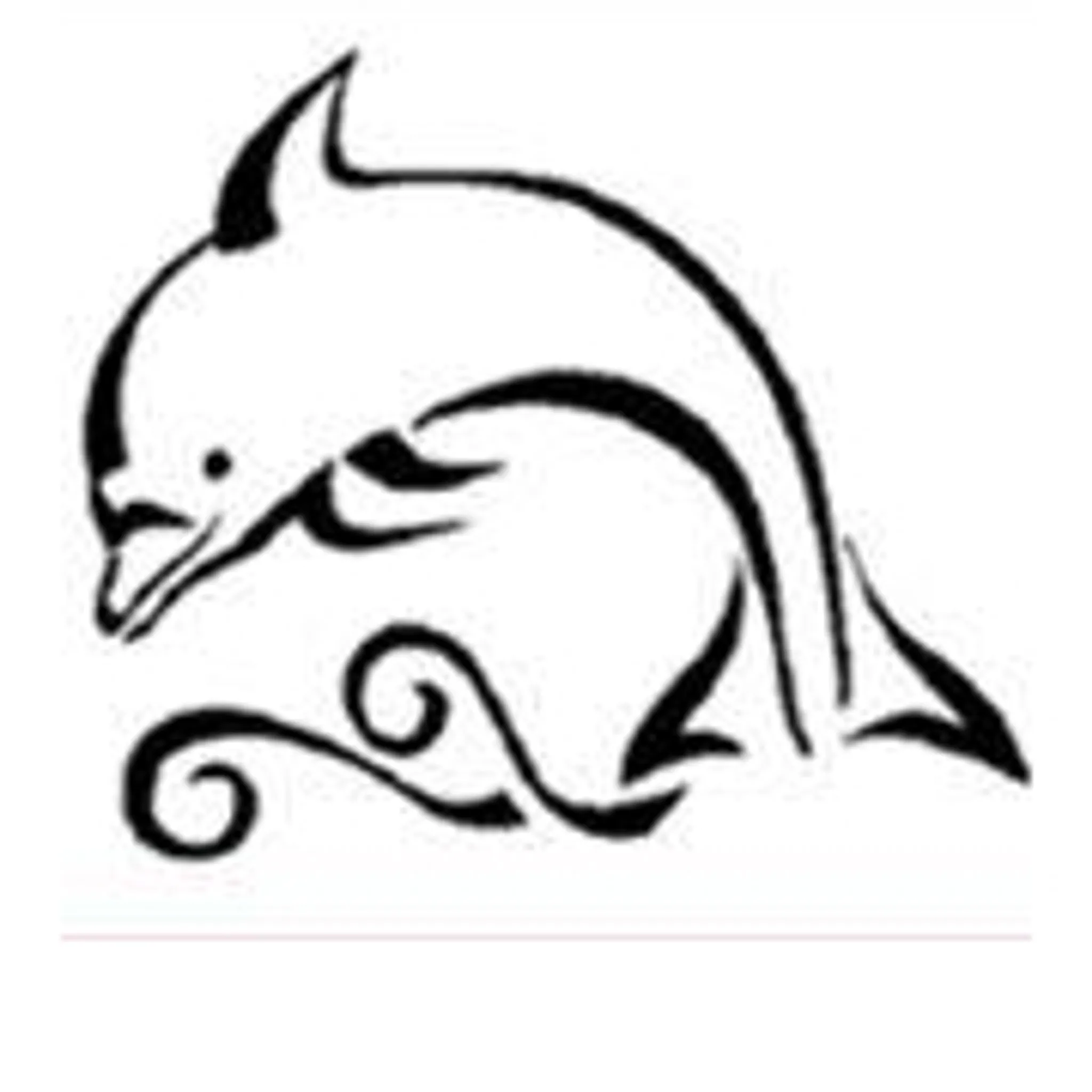 Bay & Basin Amateur Swim Club