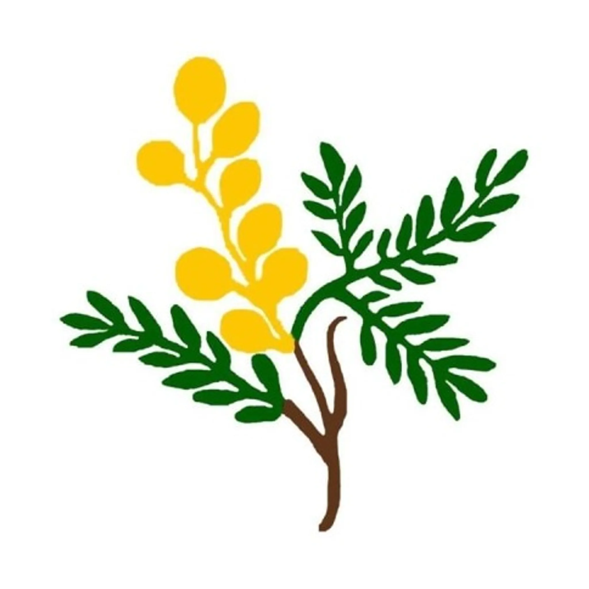 Eltham Rugby Union Football Club