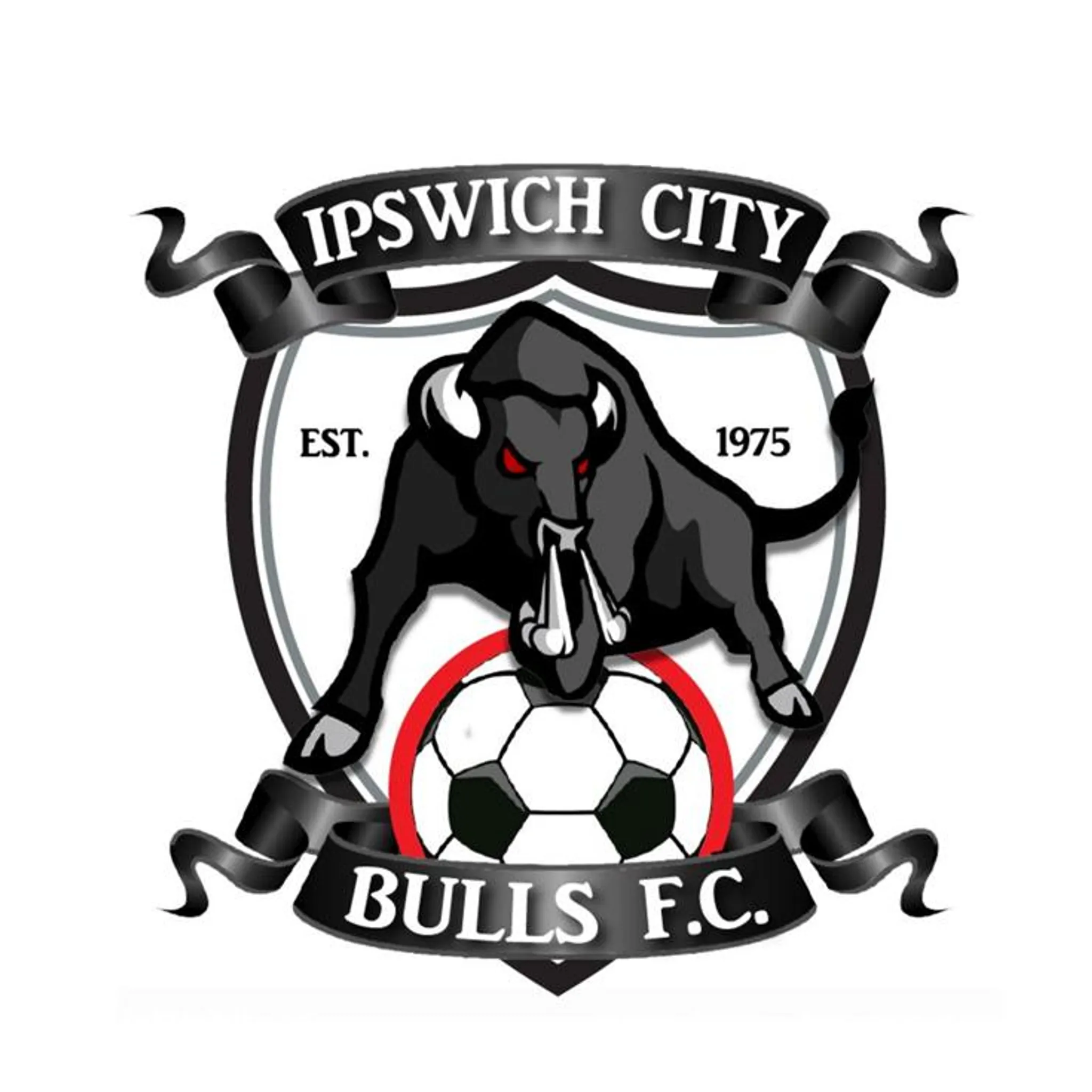 Ipswich City Soccer Club