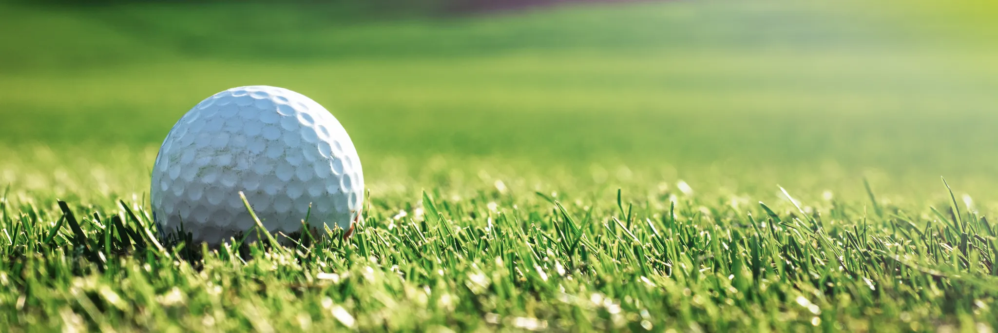 Mounties Social Golf Club