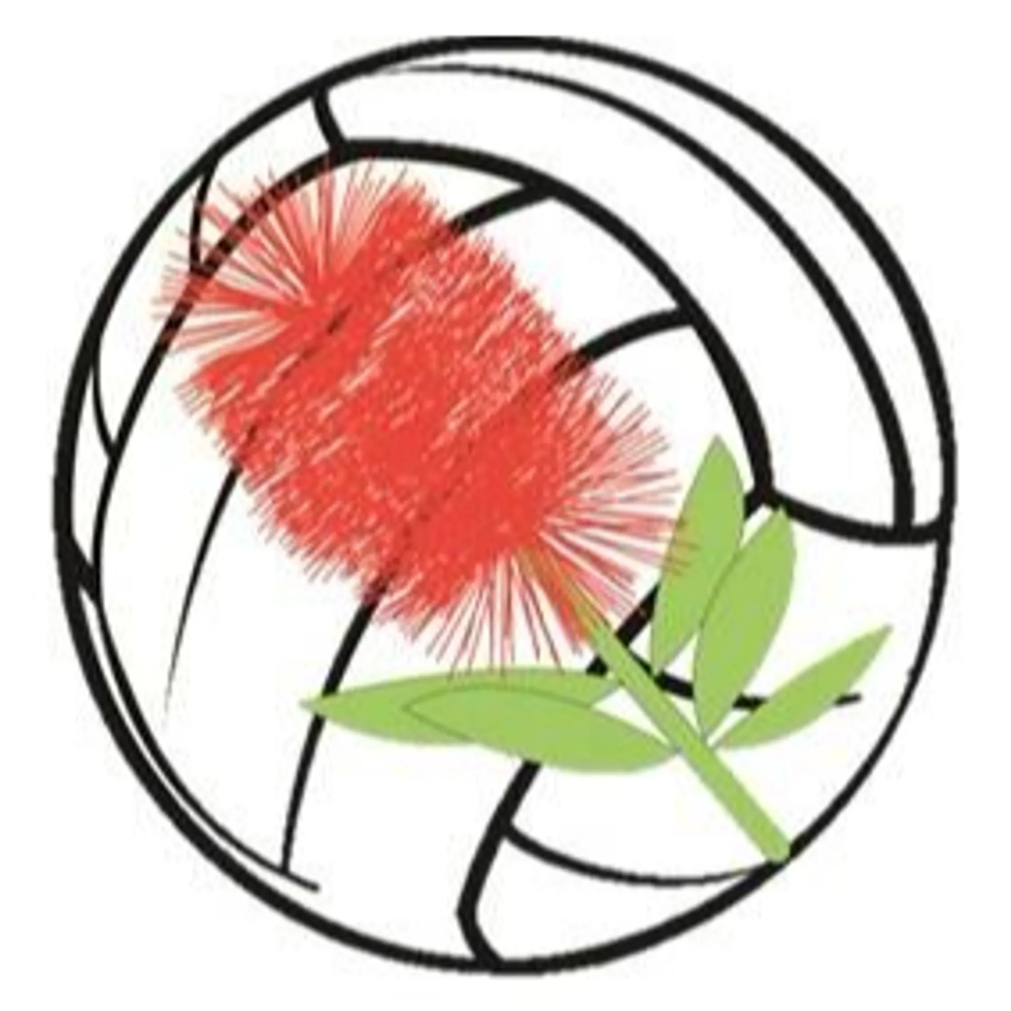 Western Districts Netball Association