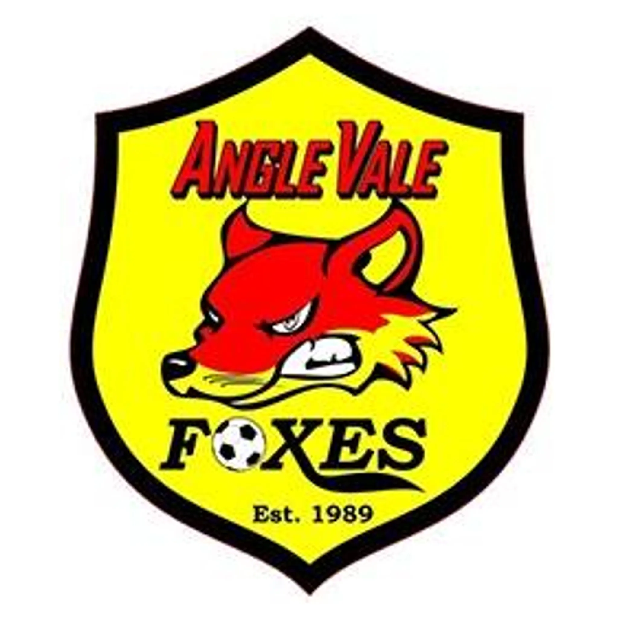 Angle Vale Soccer Club