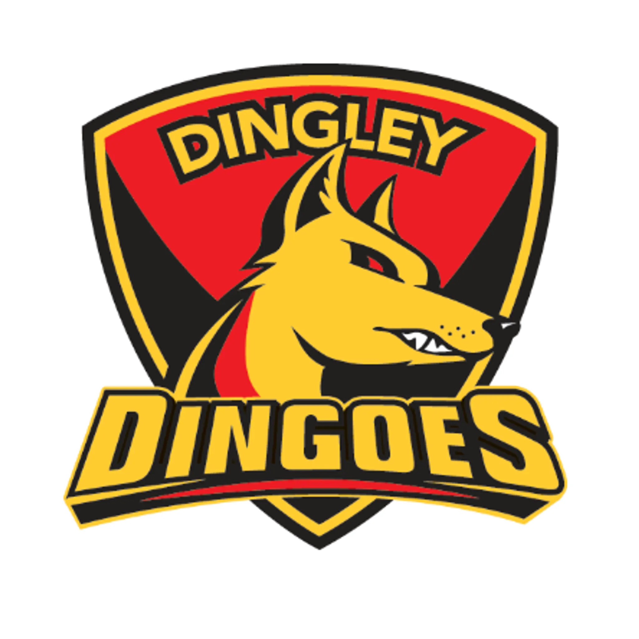 Dingley Football Club