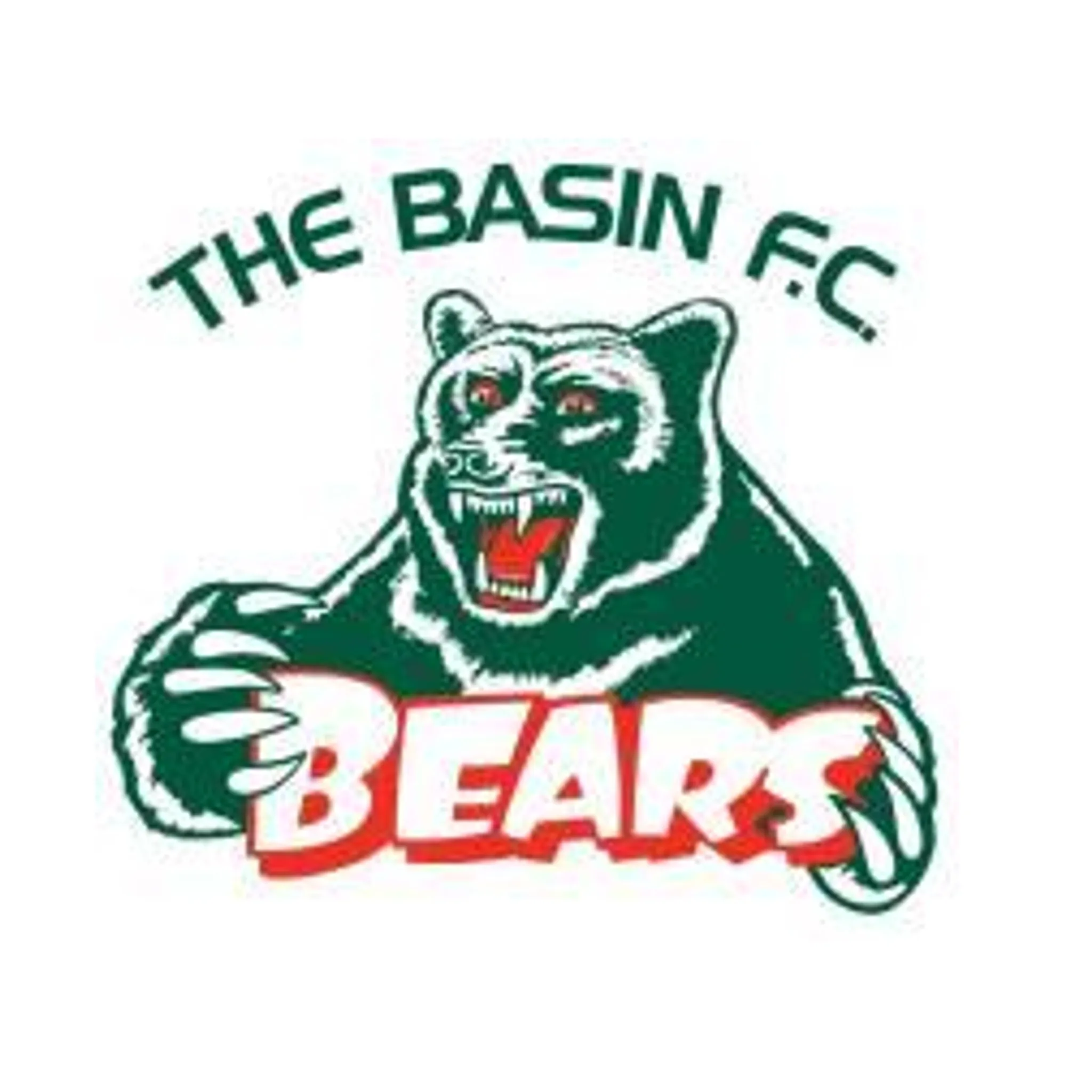  The Basin Football & Netball Club
