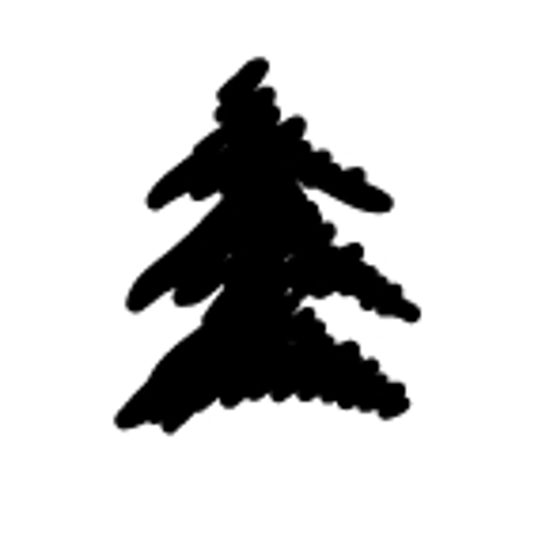 Ocean Dive & Photographics