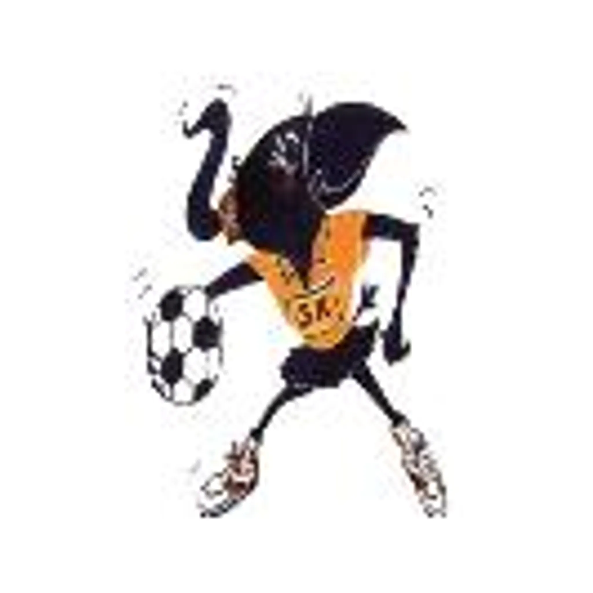 CMS Crows Netball Club