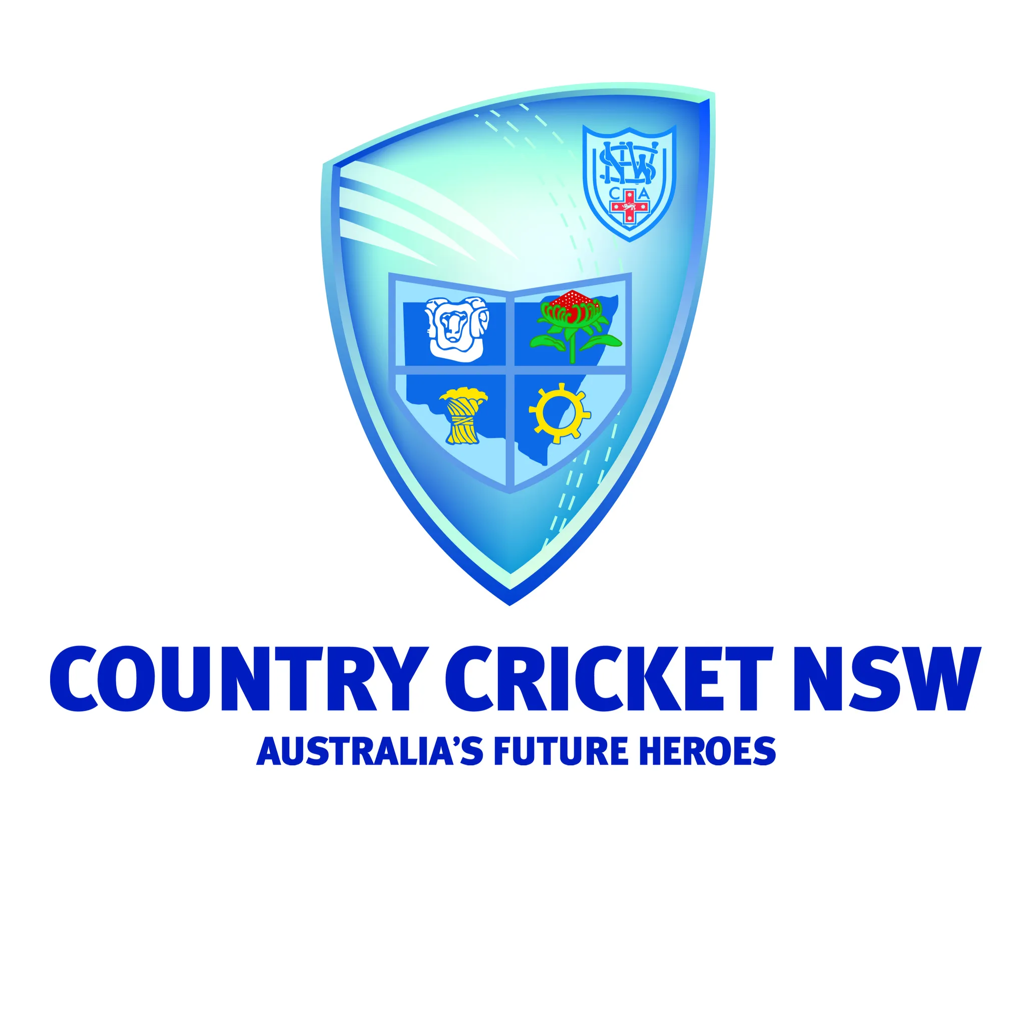 Country Cricket NSW