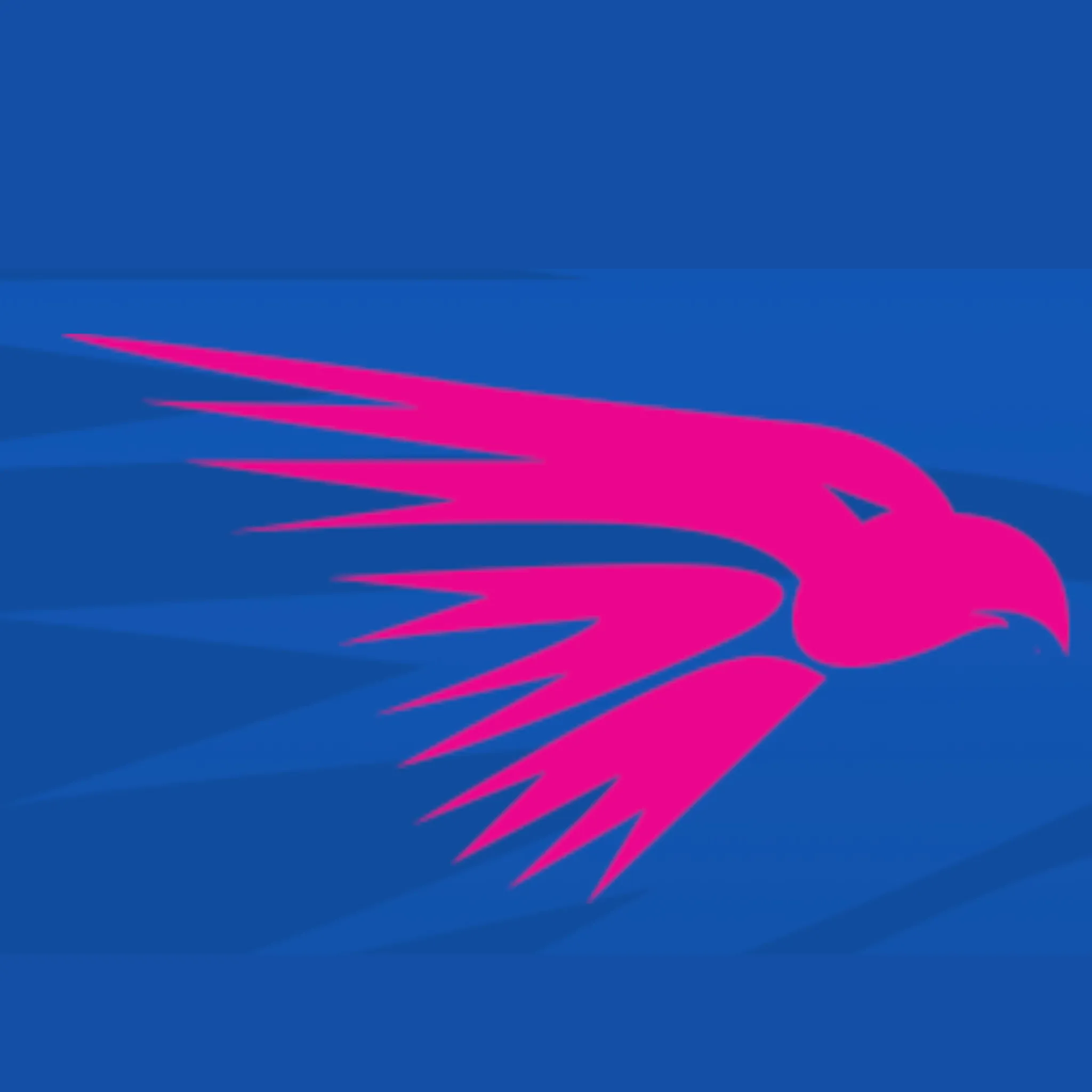 Northern Districts Eagles Netball Club