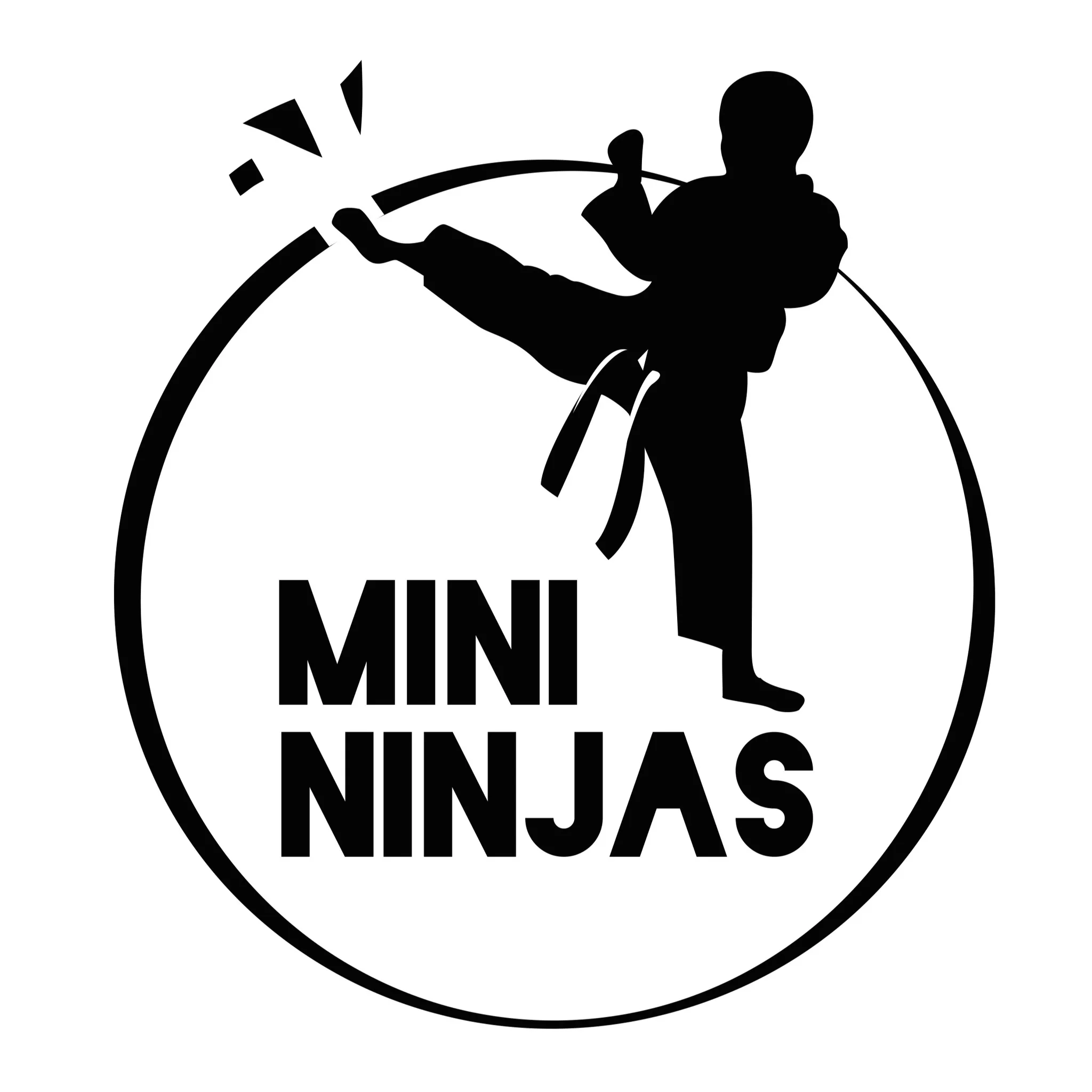 Mini Ninjas