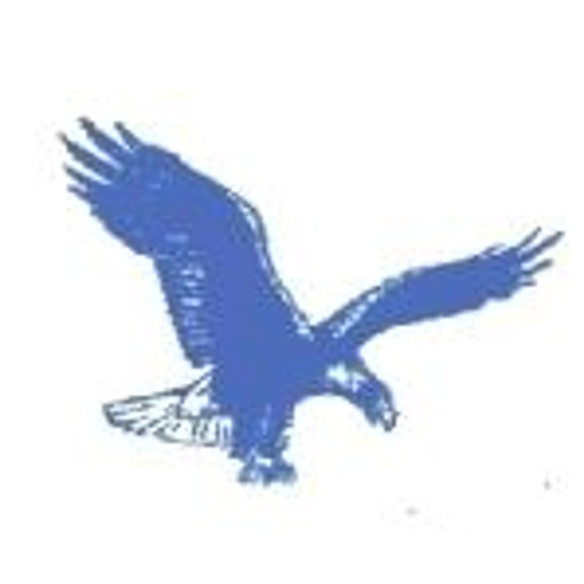 Eaglehawk Football Netball Club