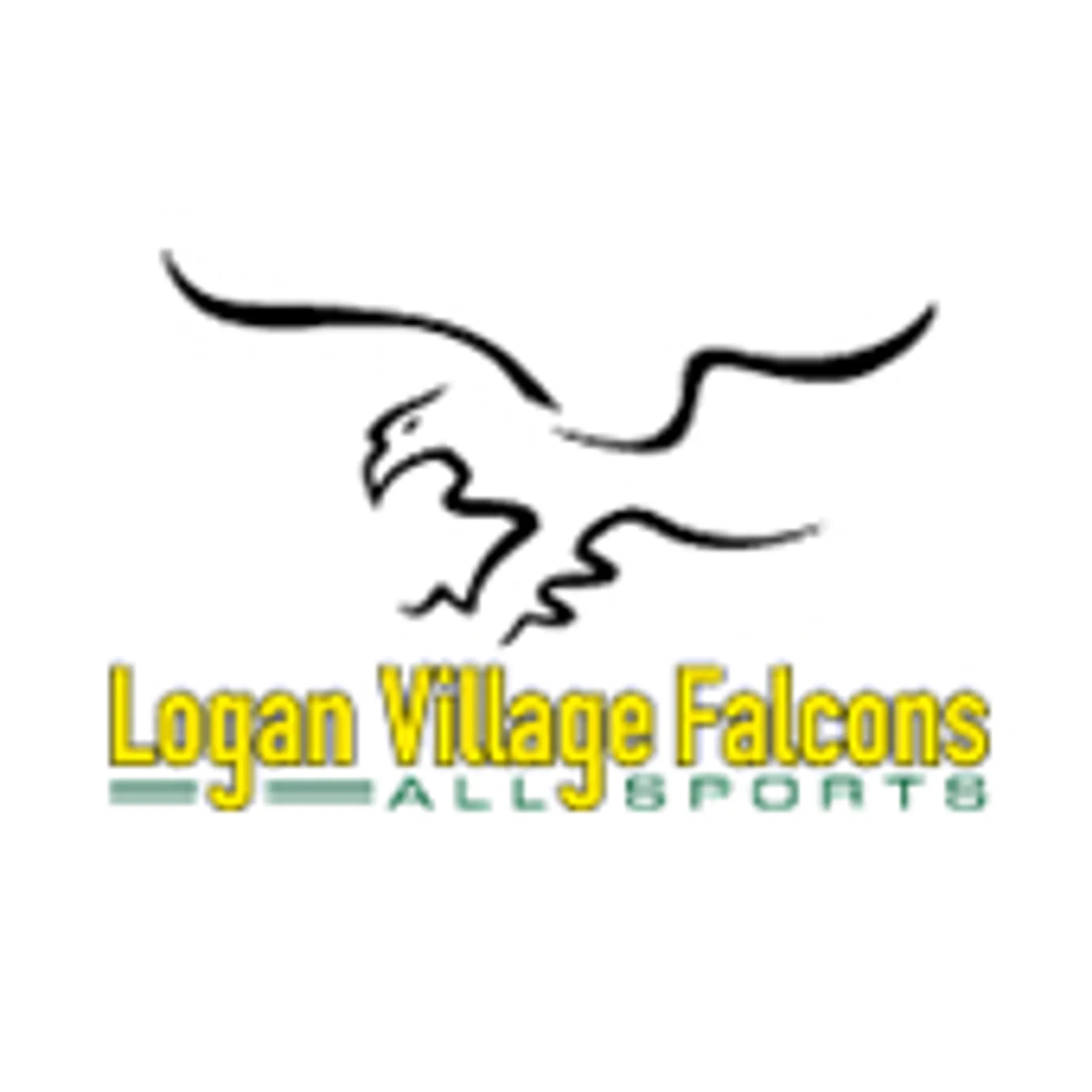 Logan Village Falcons All Sports (FQ - Football Brisbane)