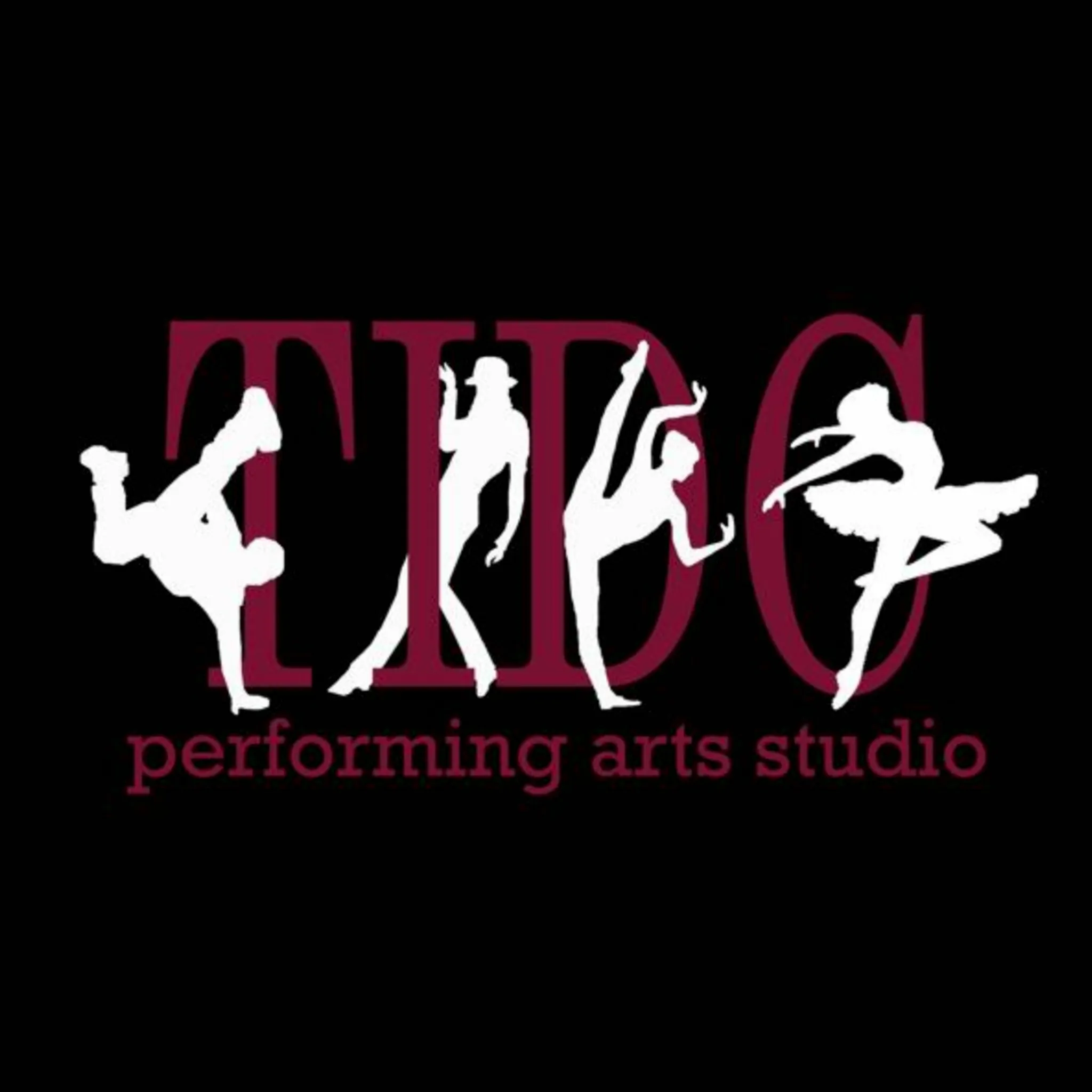 TIDC Performing Arts Studio