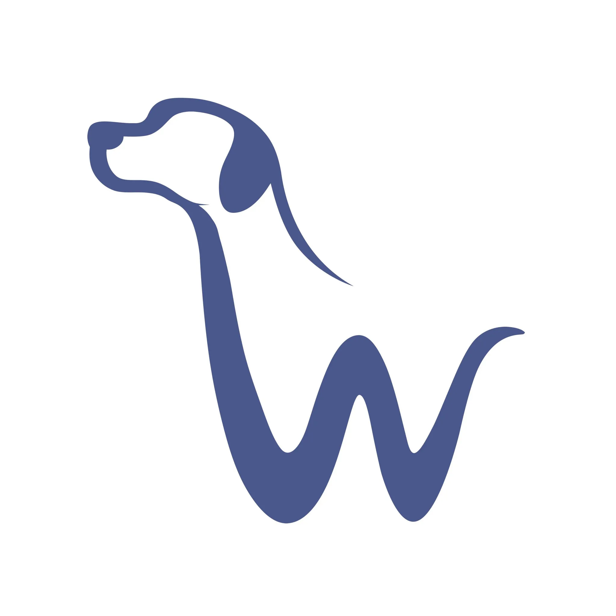 Wingham and Valley Vets