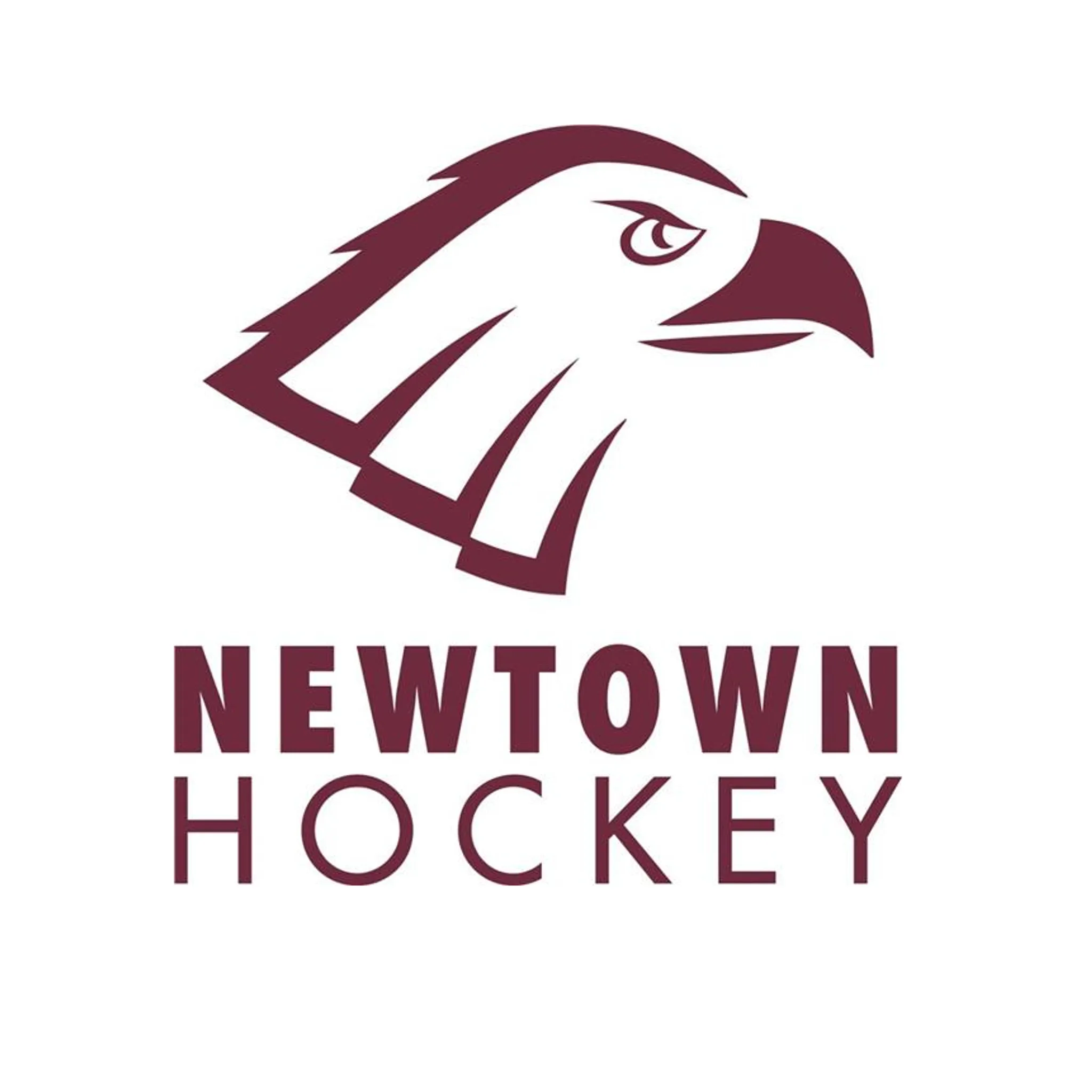 Newtown City Hockey Club