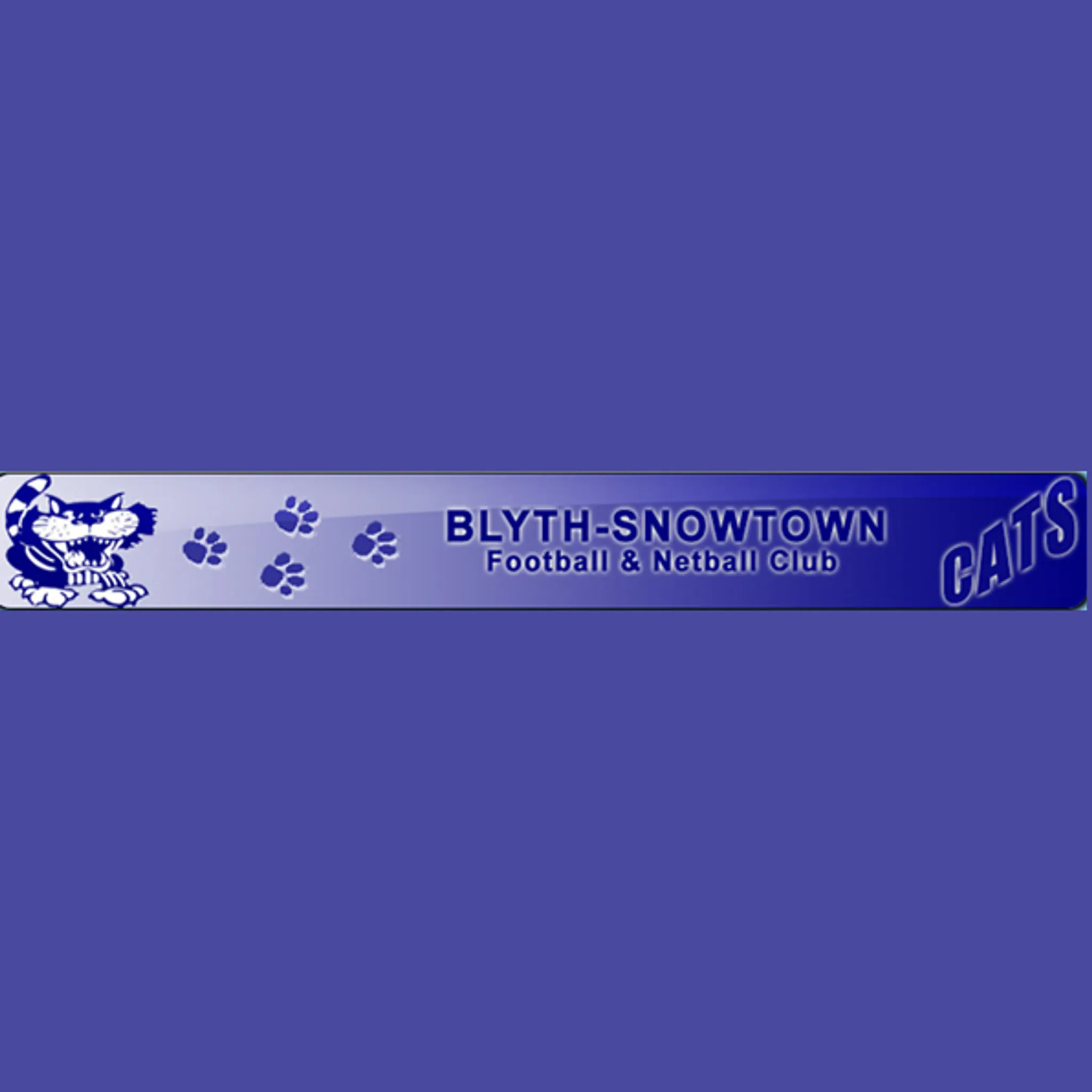Blyth Snowtown Football Netball Club