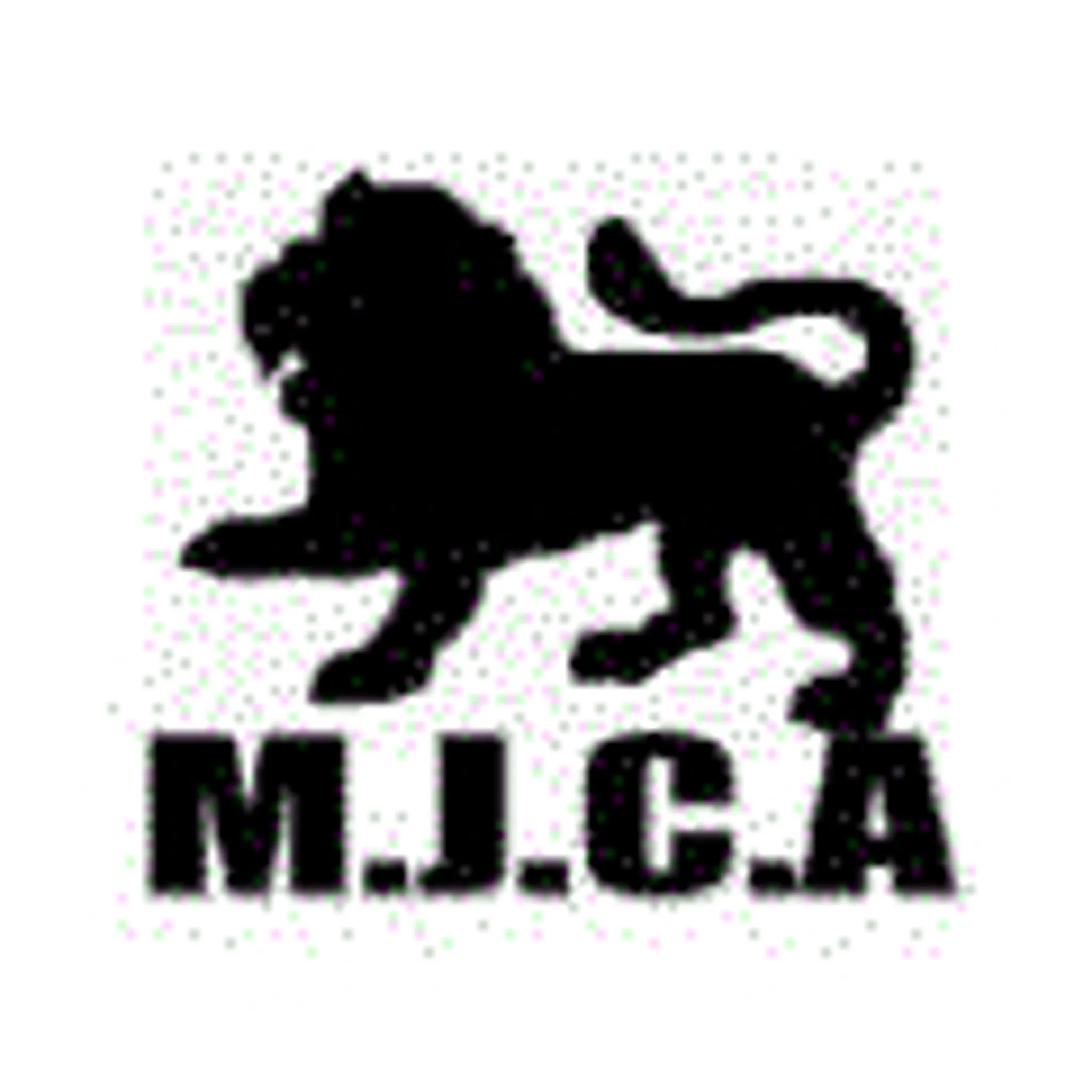Melton Junior Cricket Association