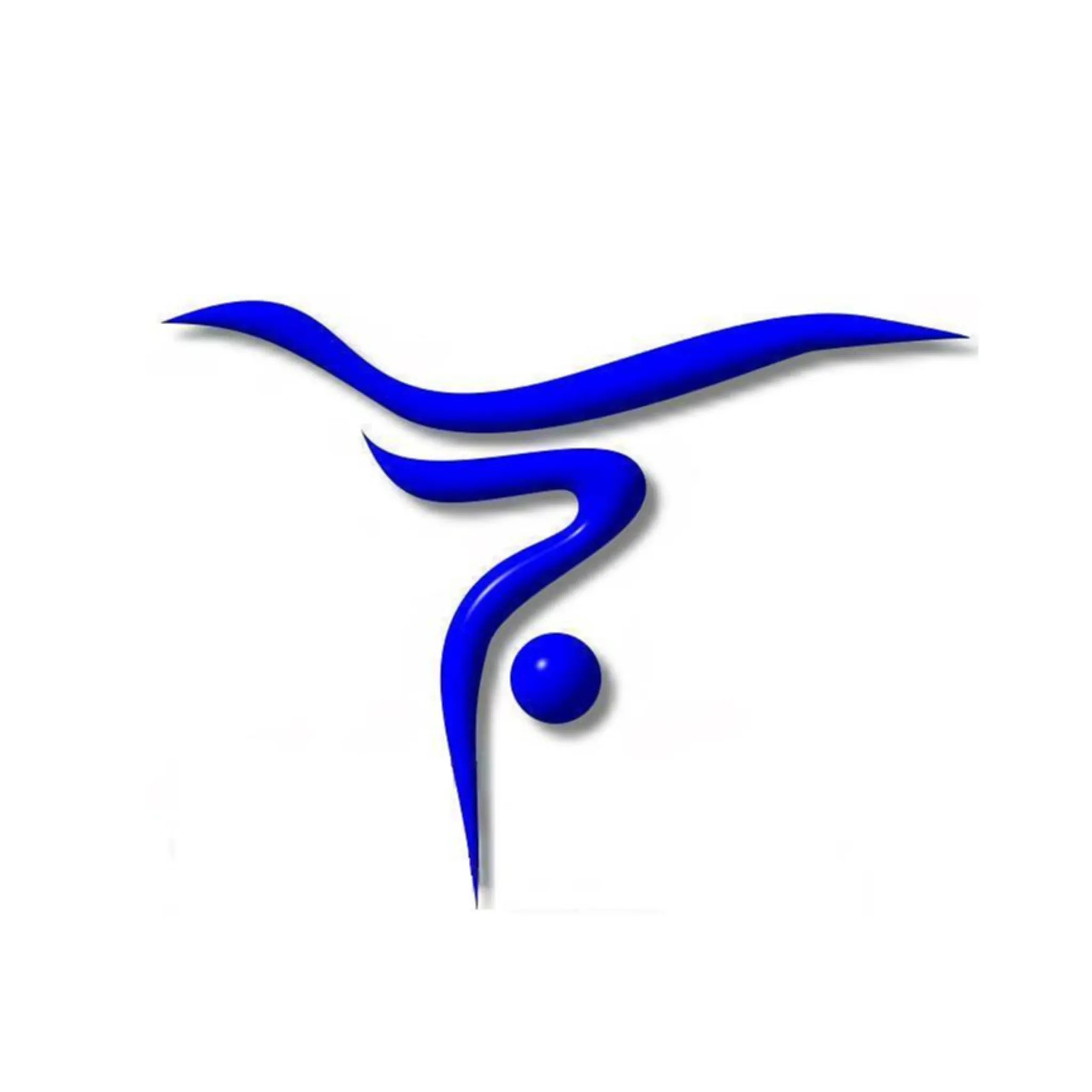 Advance Academy of Gymnastics & Acrobatics