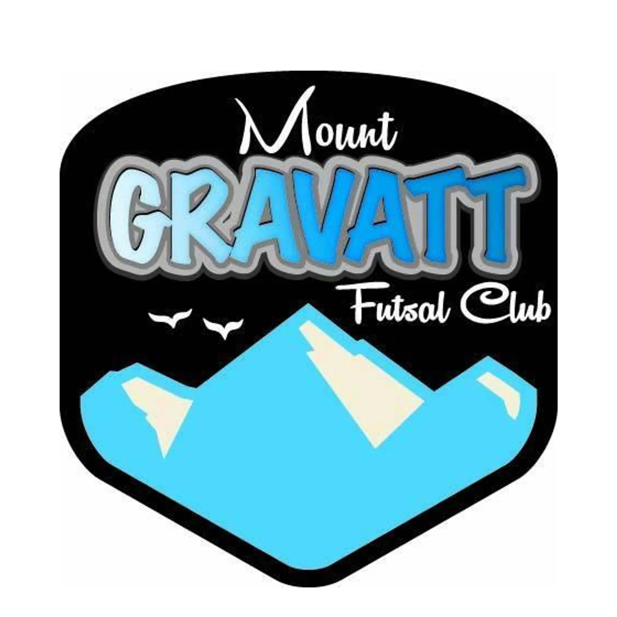 Mt Gravatt Futsal Club