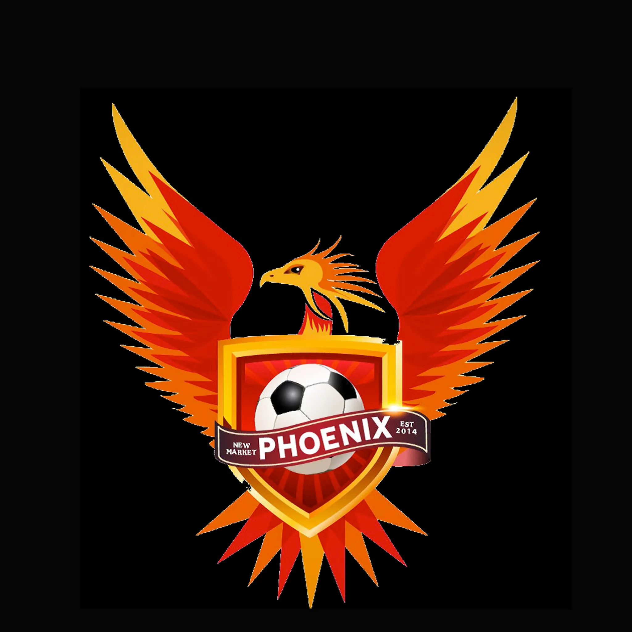 Newmarket Phoenix Football Club