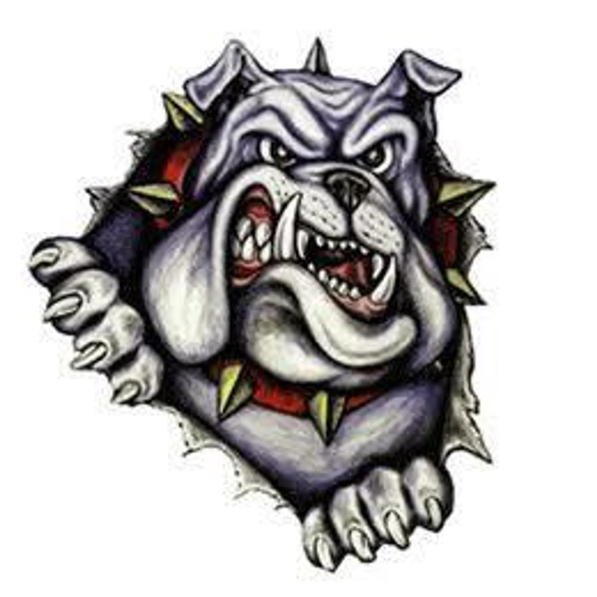 Merimbula - Pambula Bulldogs Rugby League Football Club