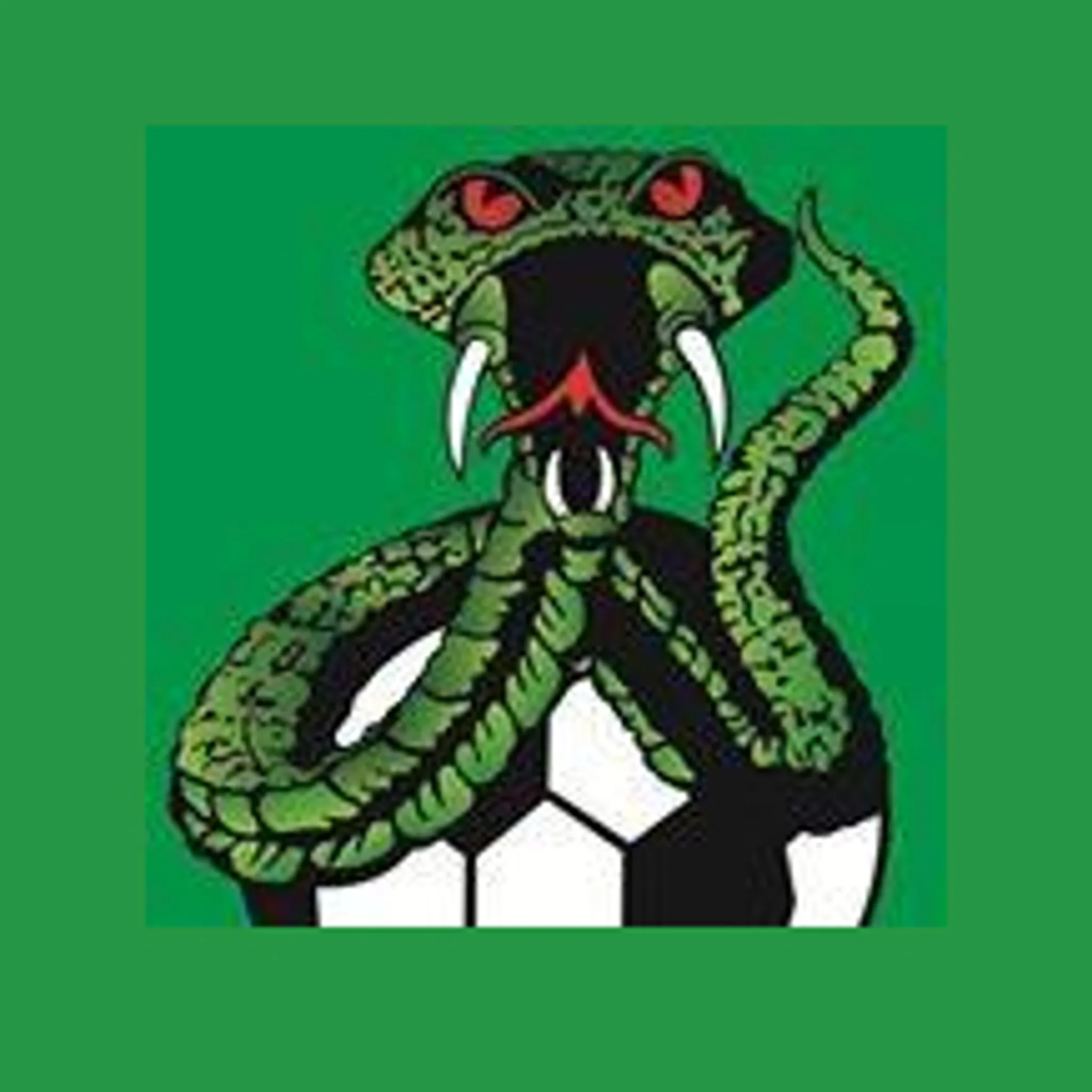 Gwandalan Summerland Point Football Club