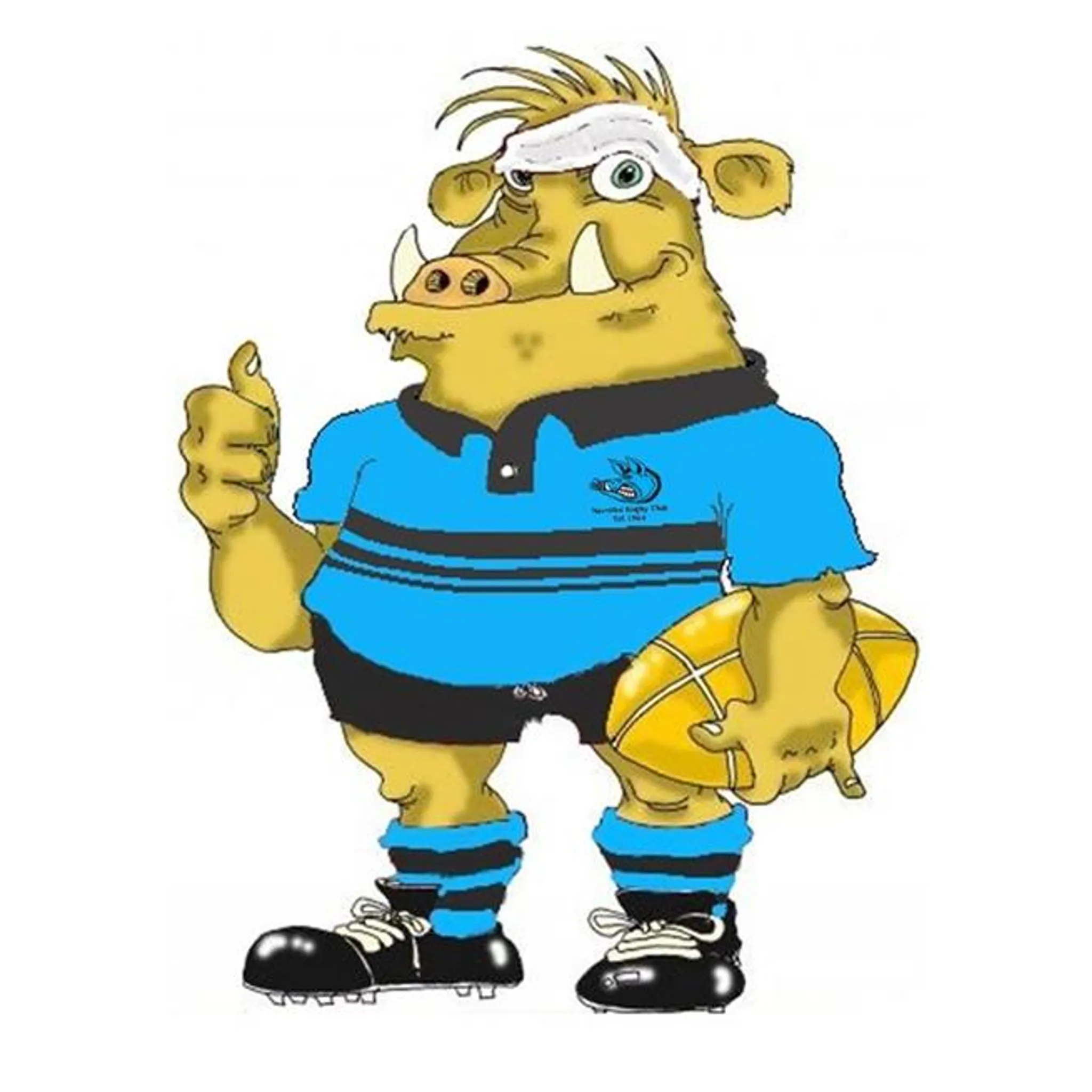 Narrabri Rugby Union Football Club