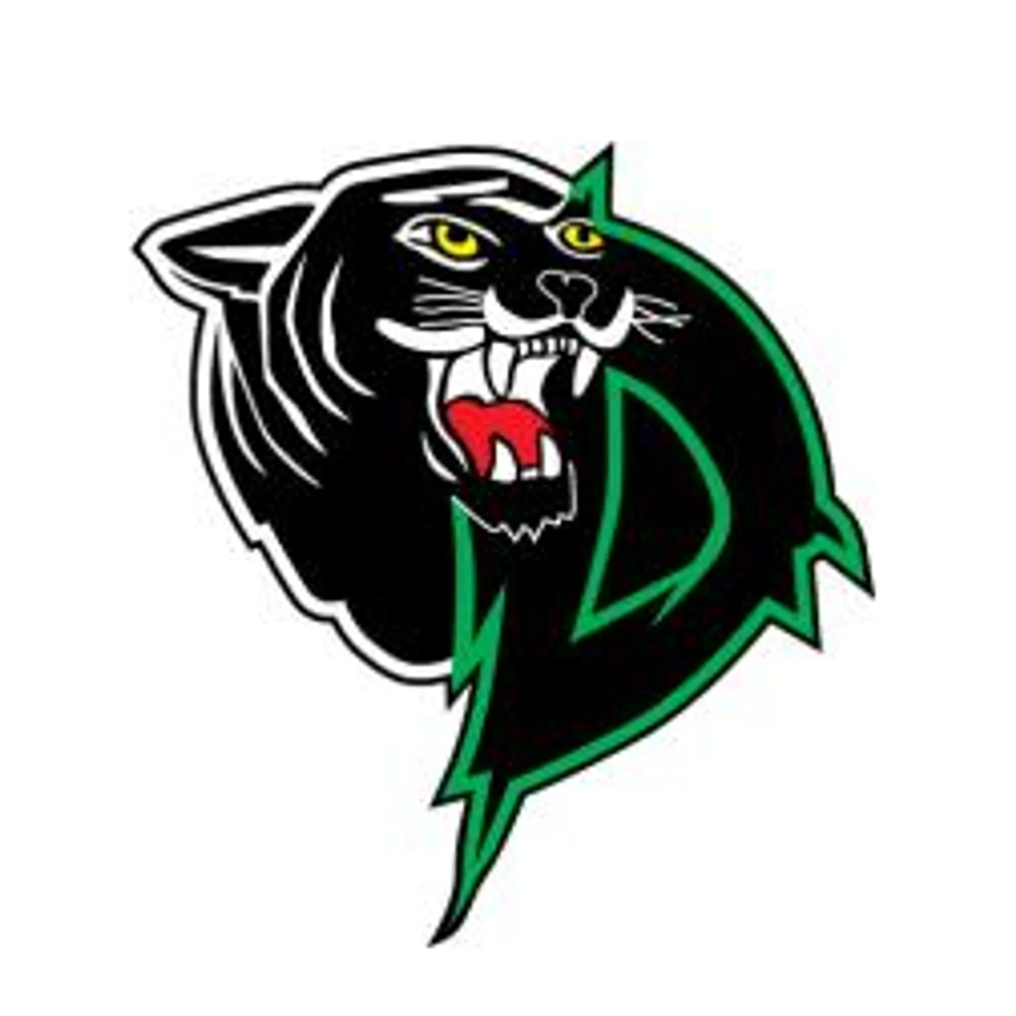 Doncaster Basketball Club