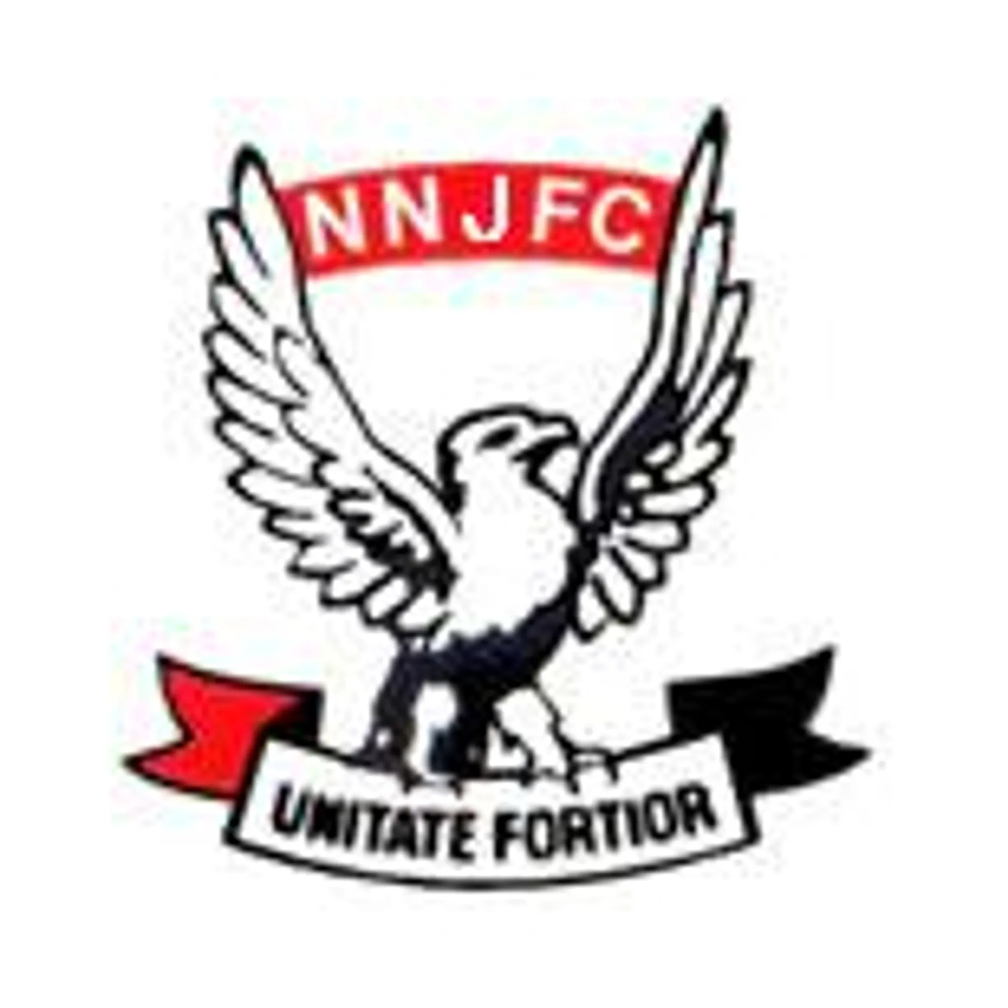 New Norfolk Junior Football Club