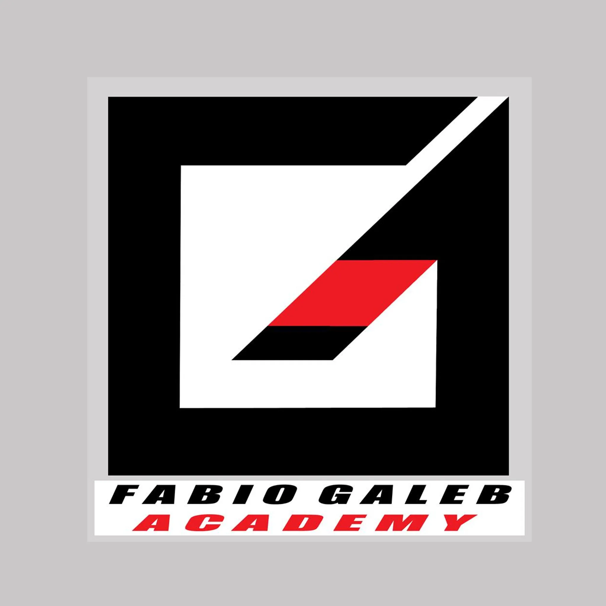 Fabio Galeb BJJ Academy