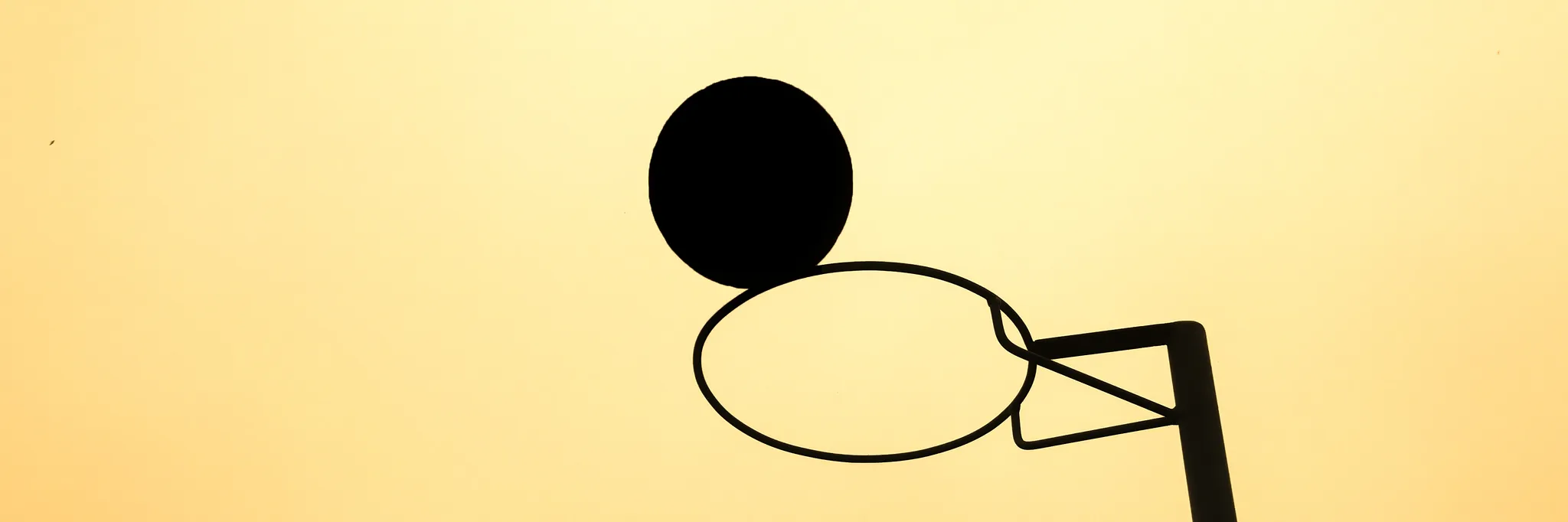 Lane Cove Public School Netball Club