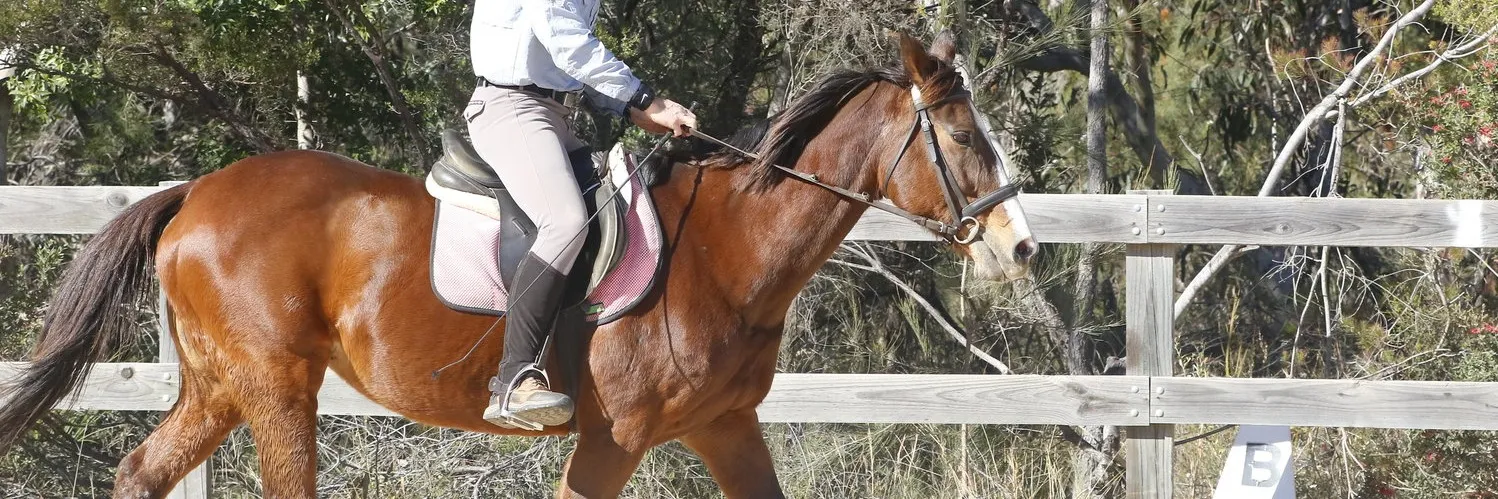After School Horse Riding Lessons