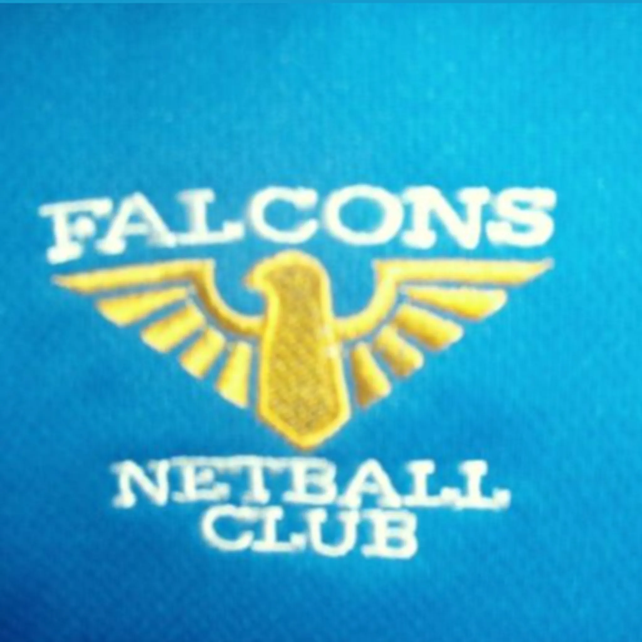 Falcons Netball Club