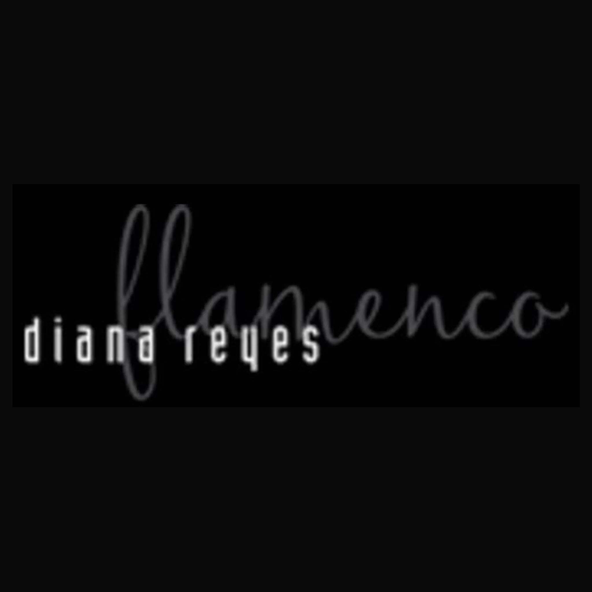 Diana Reyes Flamenco Studio 