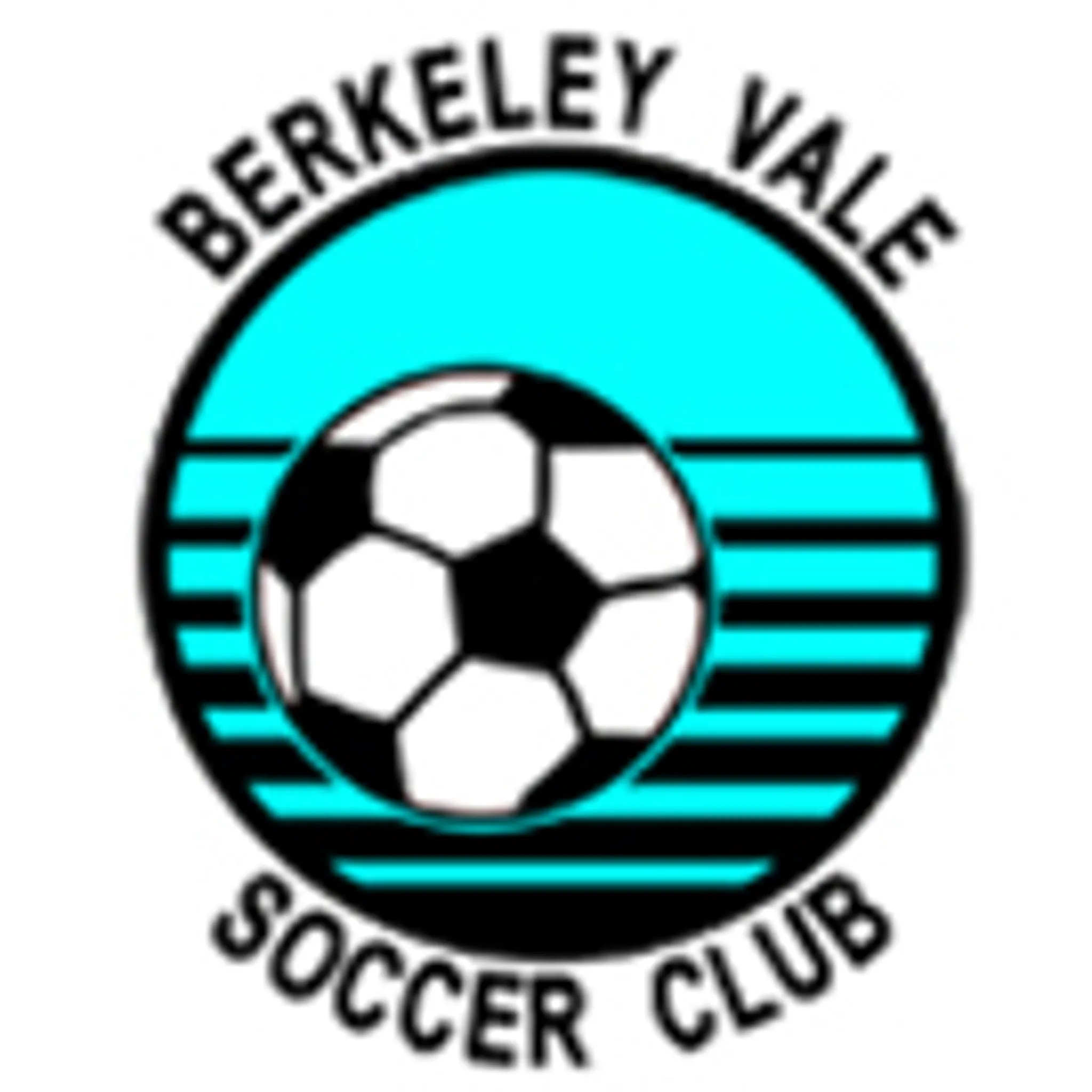 Berkeley Vale Soccer Club