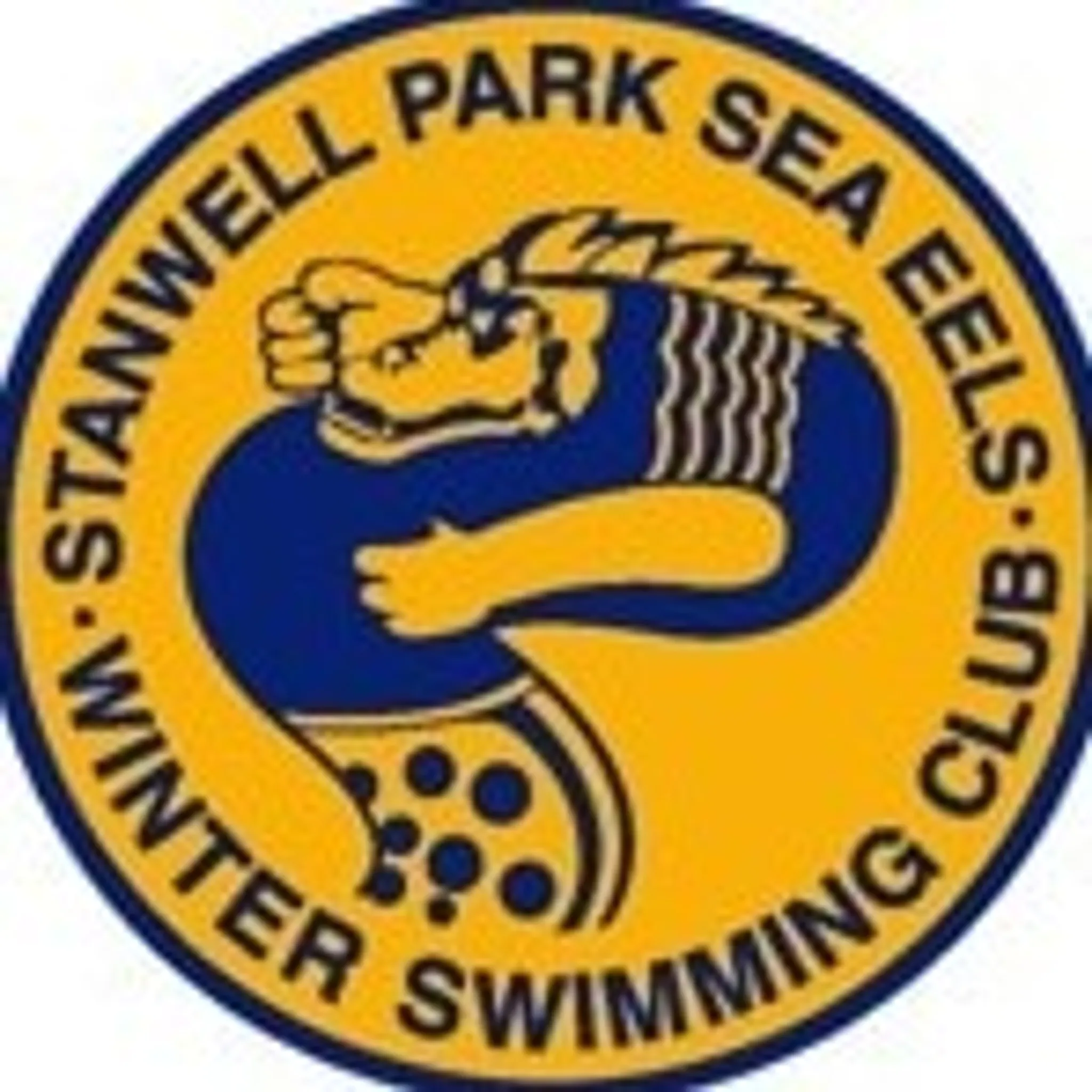 Stanwell Park Sea Eels