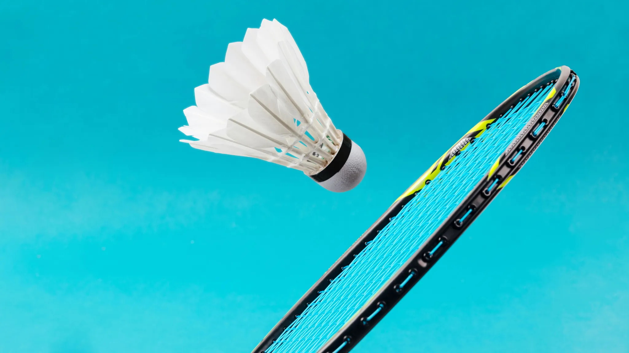 Para-Badminton banner