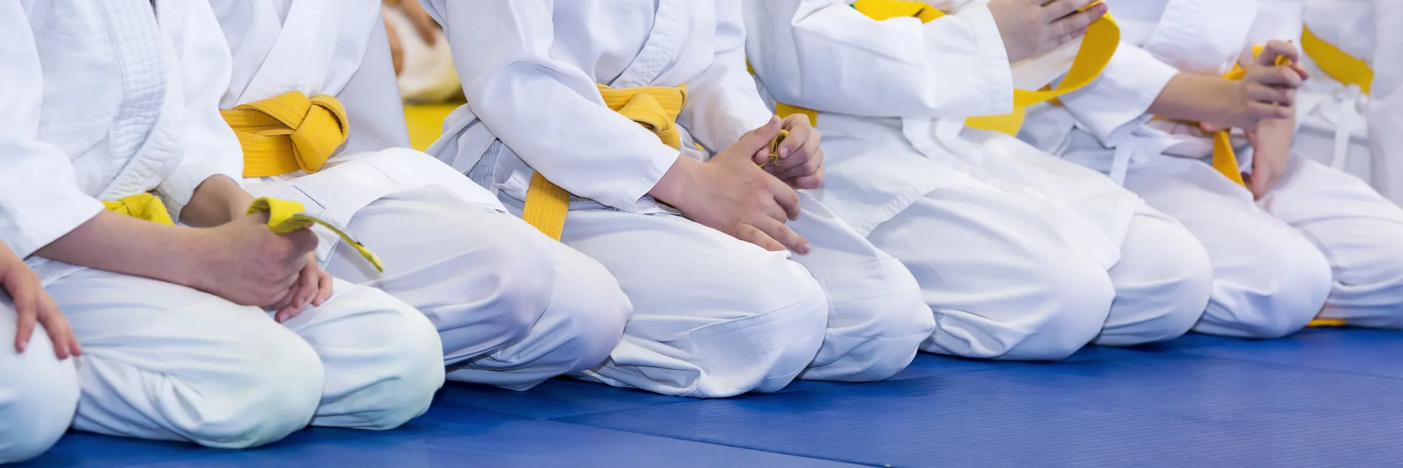 Beginners Aikido Class Free Trial Beginners Aikido Class Free Trial