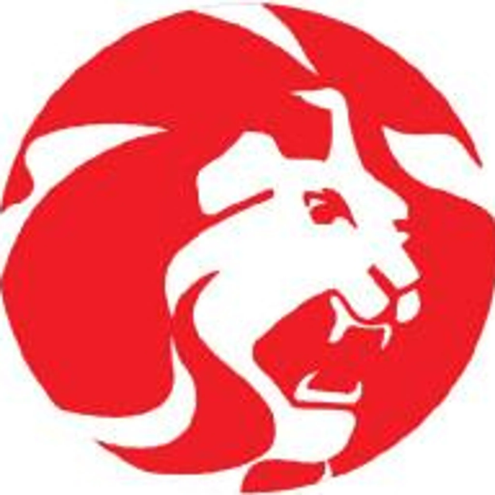 Gerringong Lions Rugby League Football Club