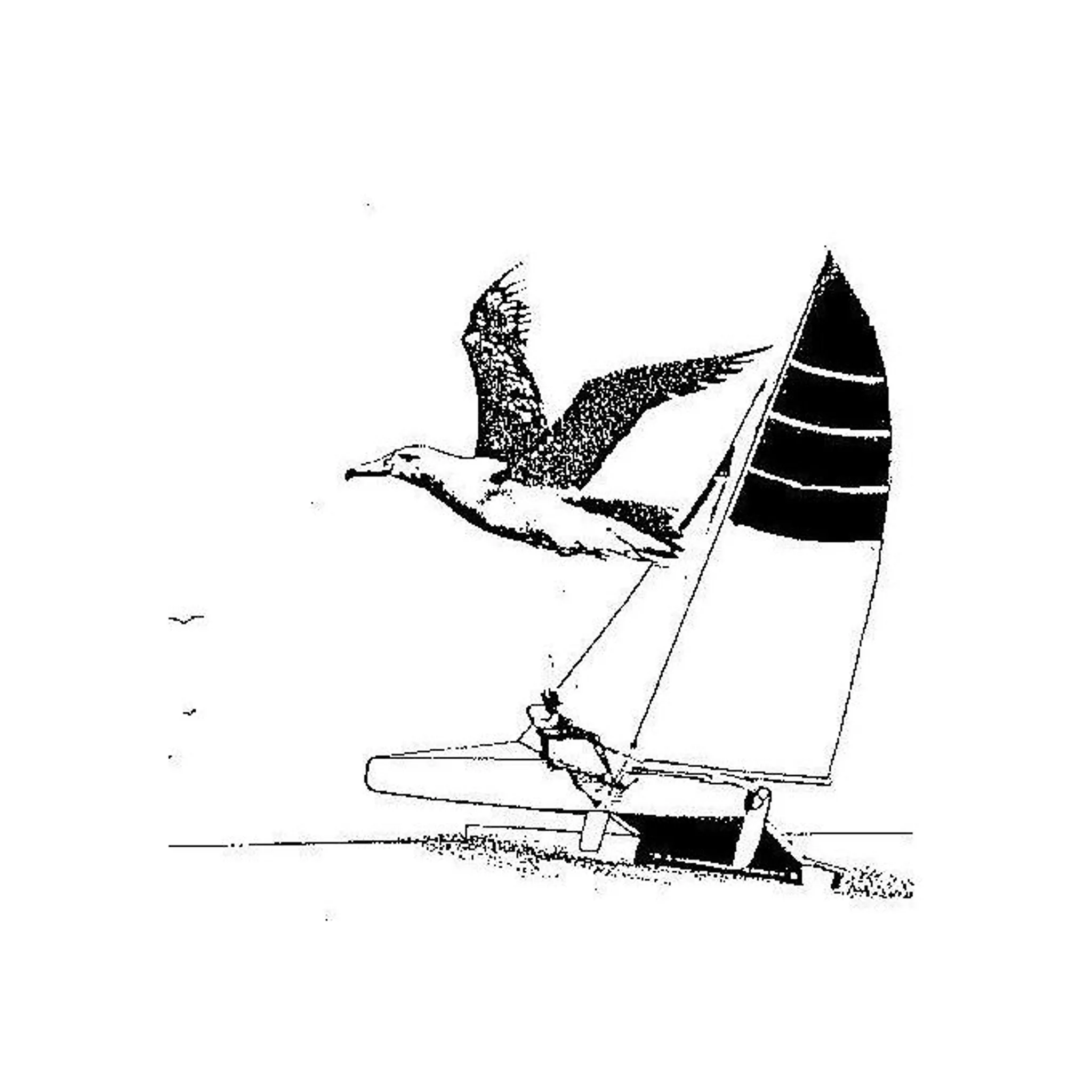 Port Albert Yacht Club