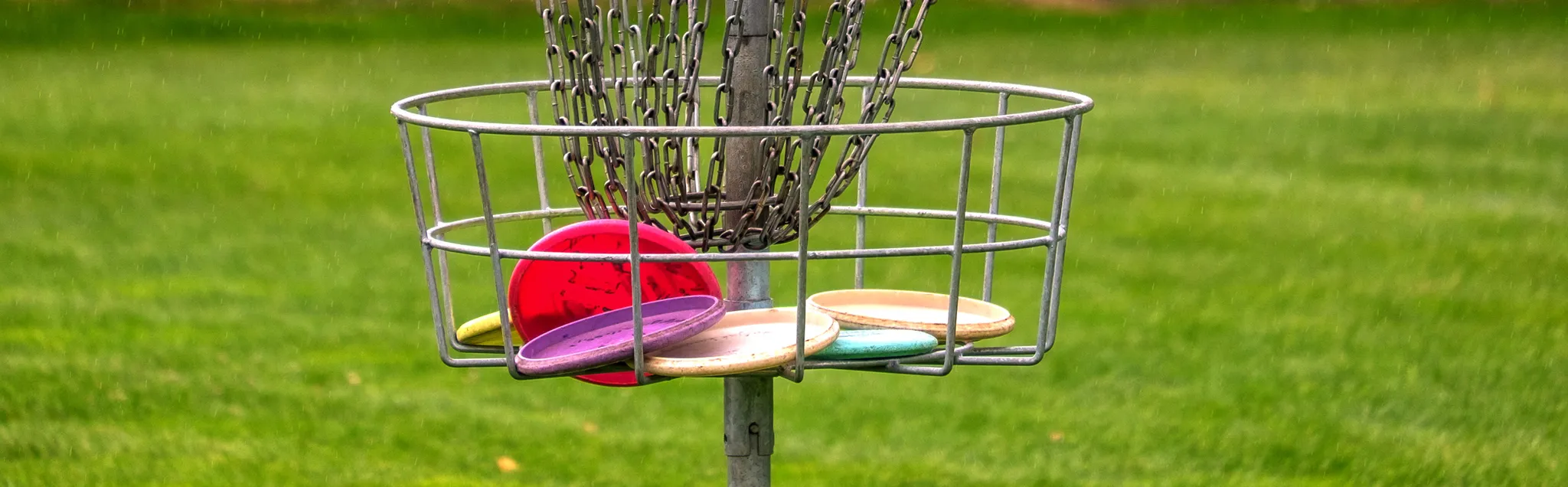 Disc Golf banner