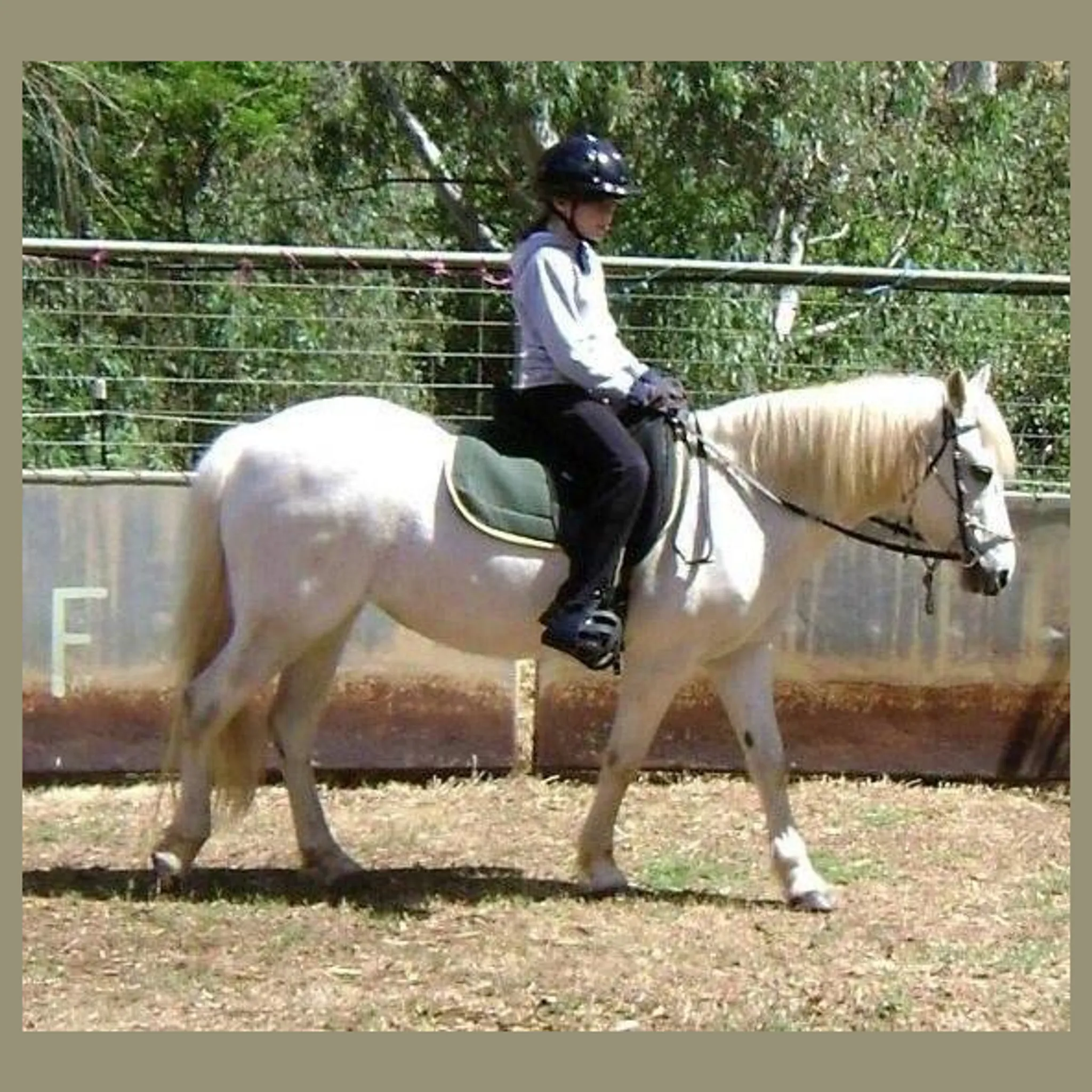 Ashcroft Horsemanship