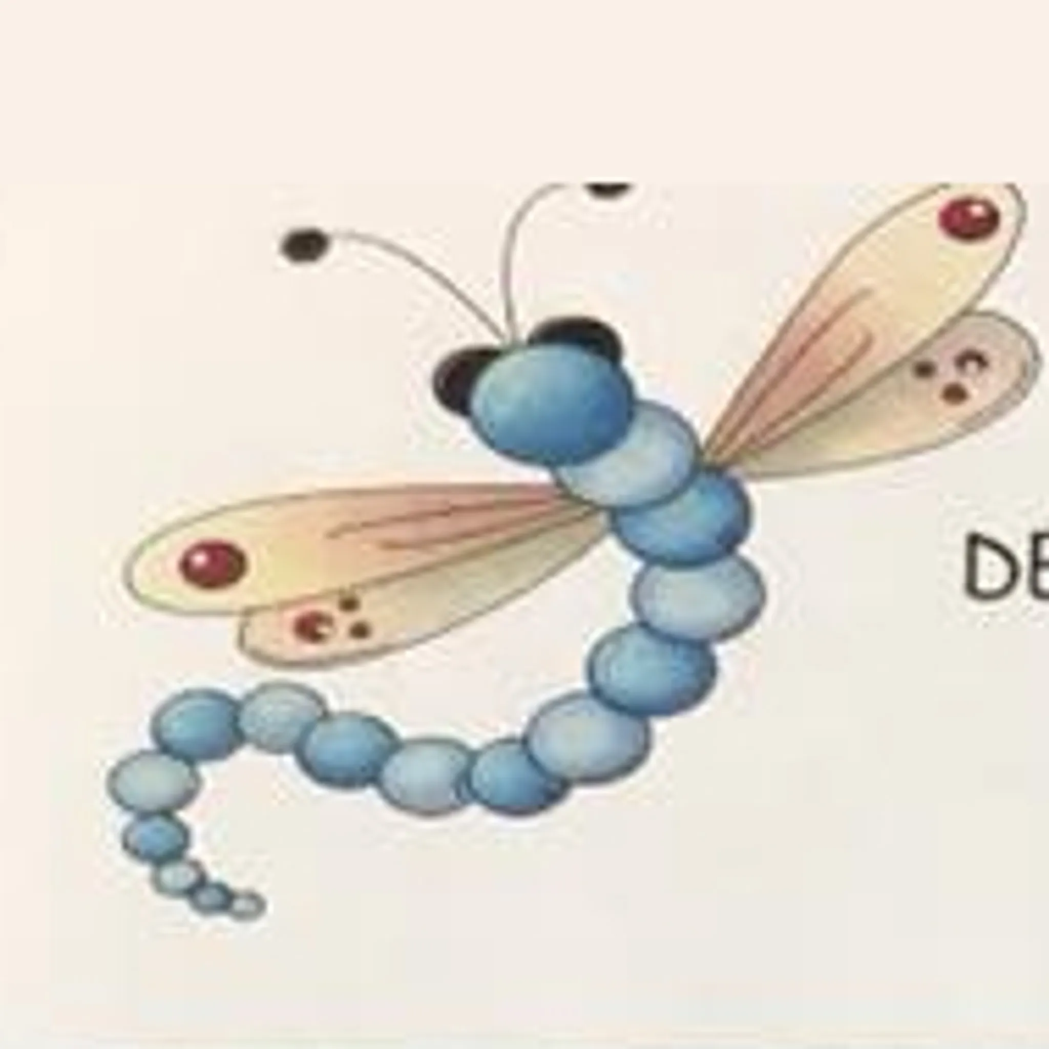 Deadly Dragonfliez Netball Club