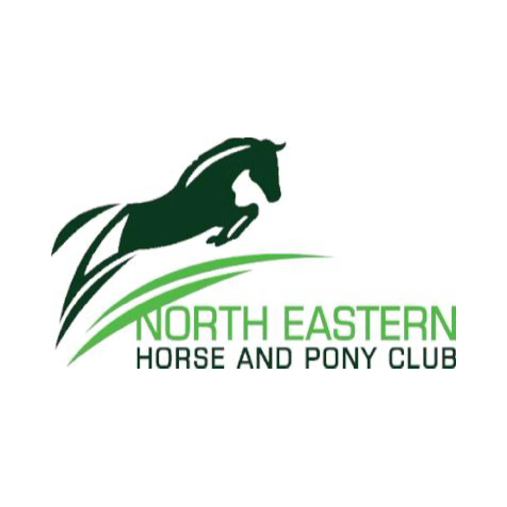 North Eastern Horse & Pony Club