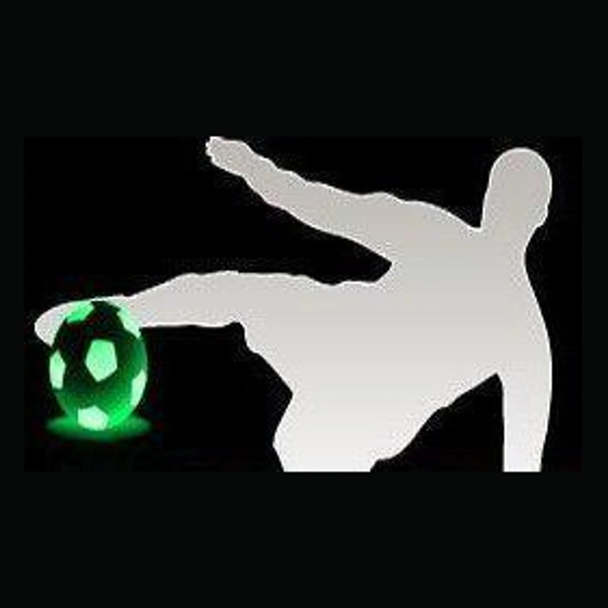 Northern Futsal Tasmania